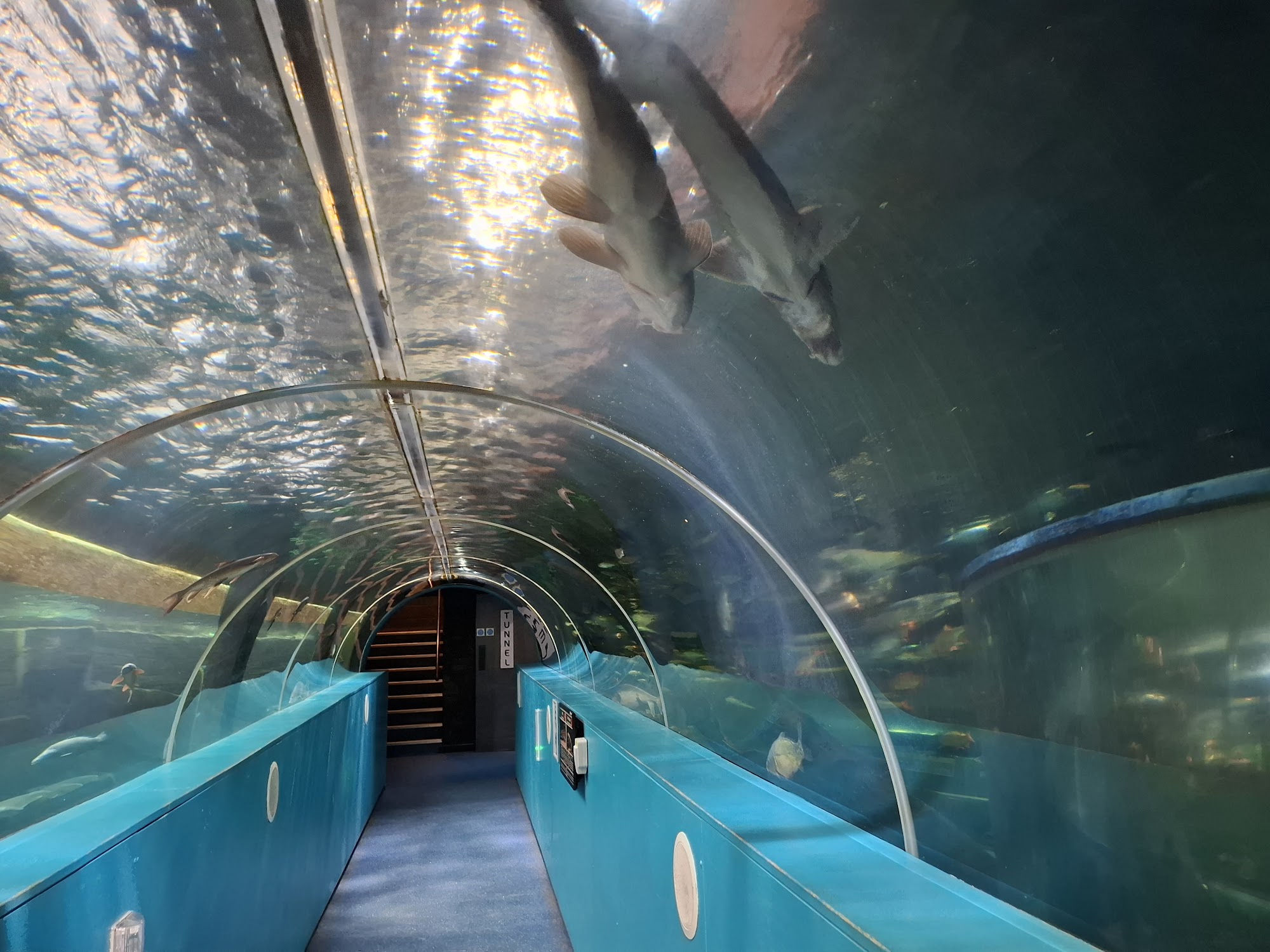 Lakes Aquarium