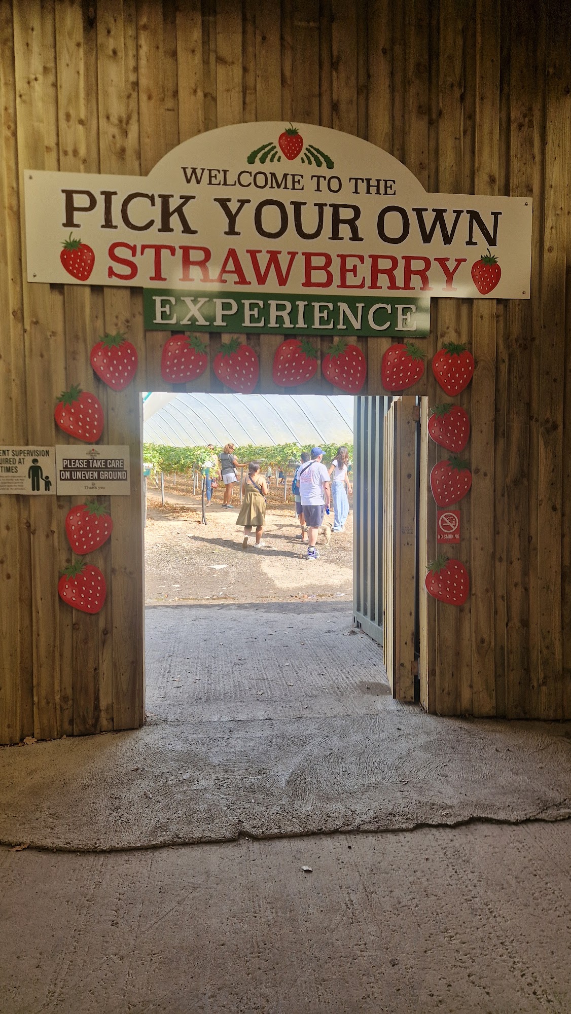 Strawberry Fields Lifton