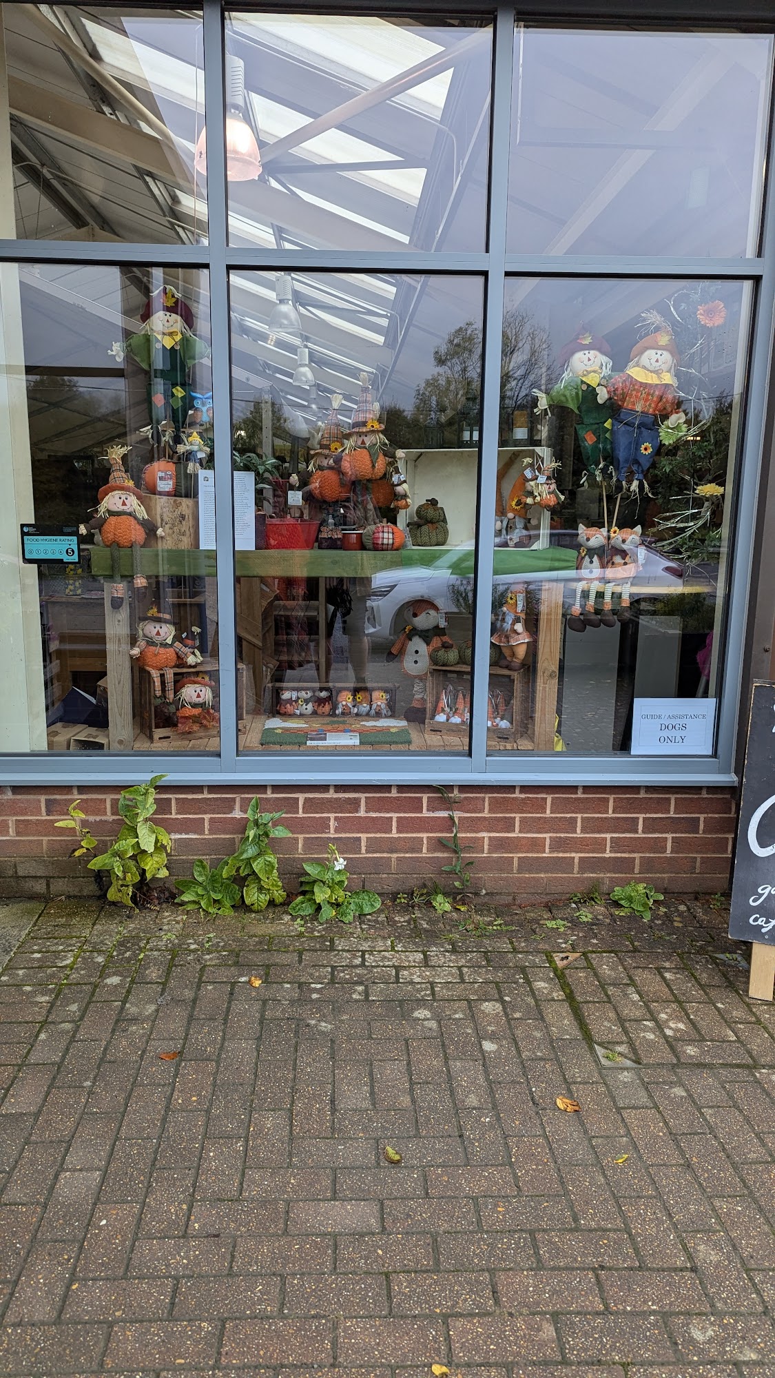 Country Lanes Garden Centre