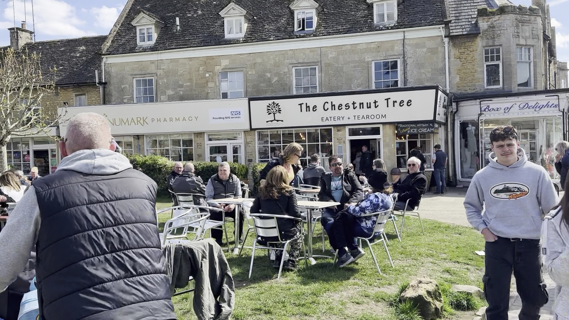 The Chestnut Tree