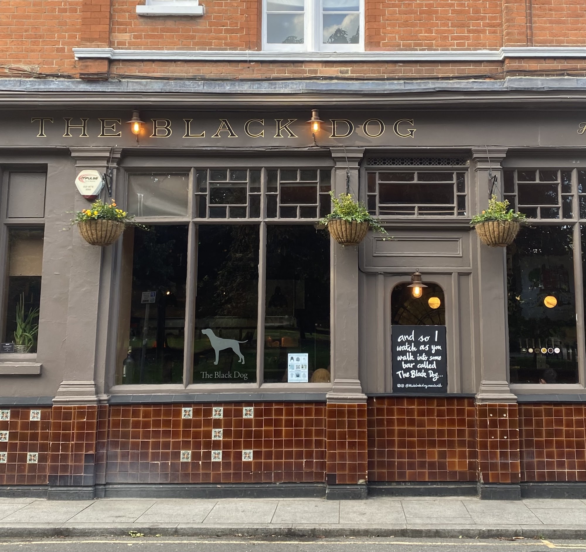 The Black Dog