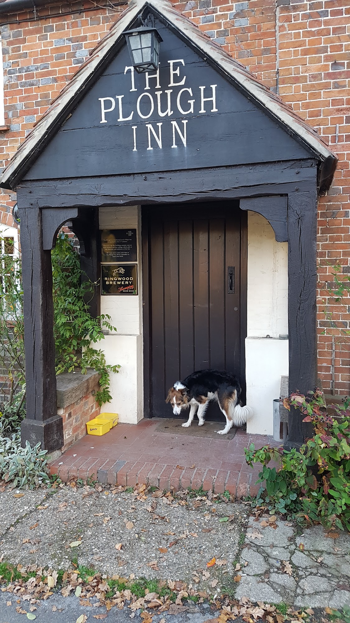 The Plough