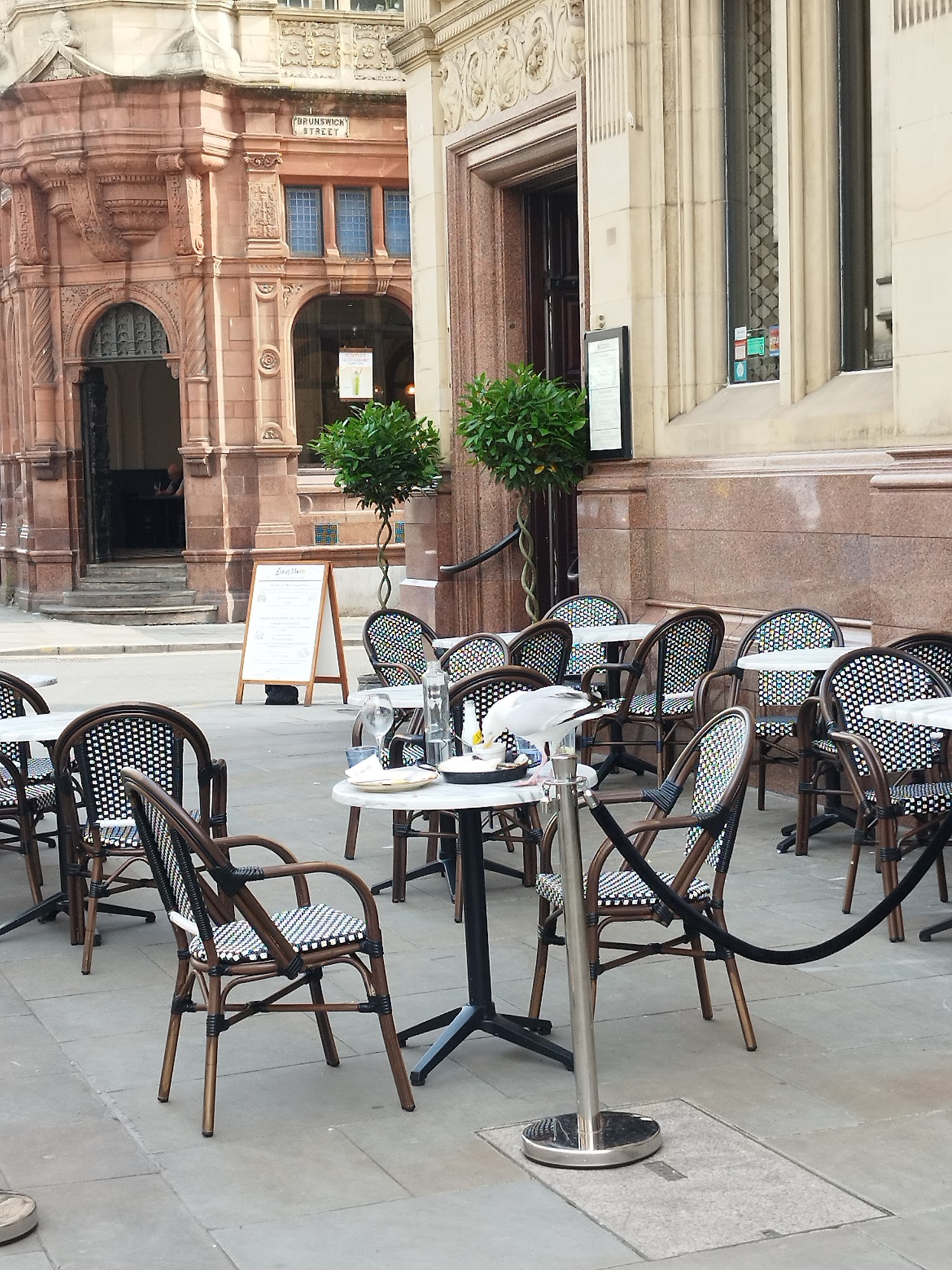 Caffè Nero