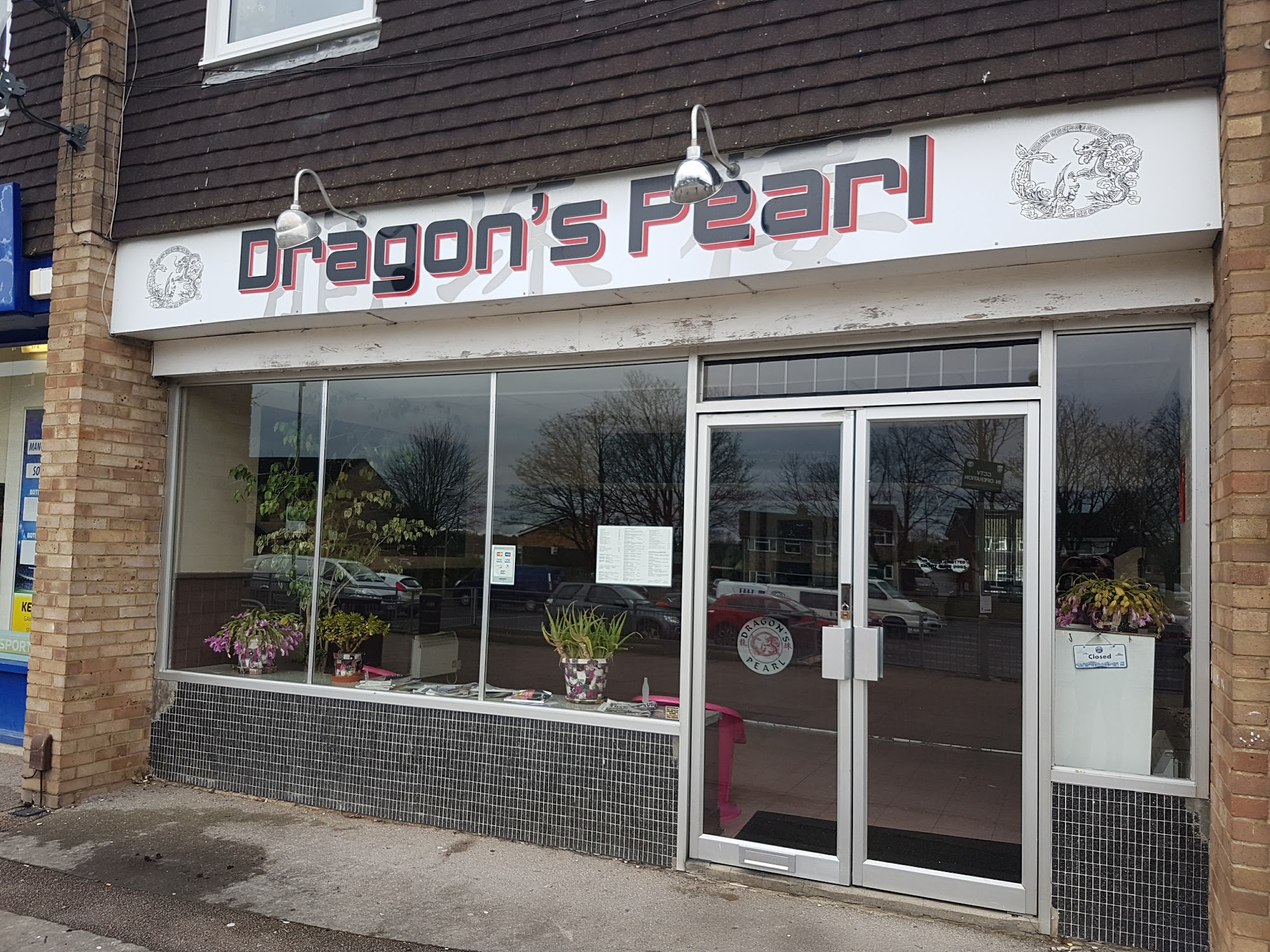 Dragons Pearl