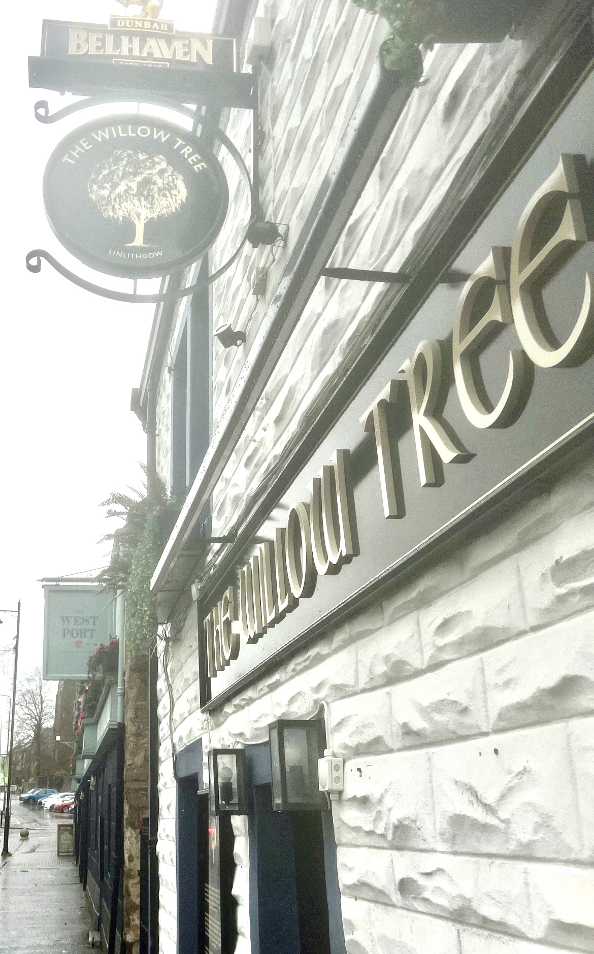 The Willow Tree