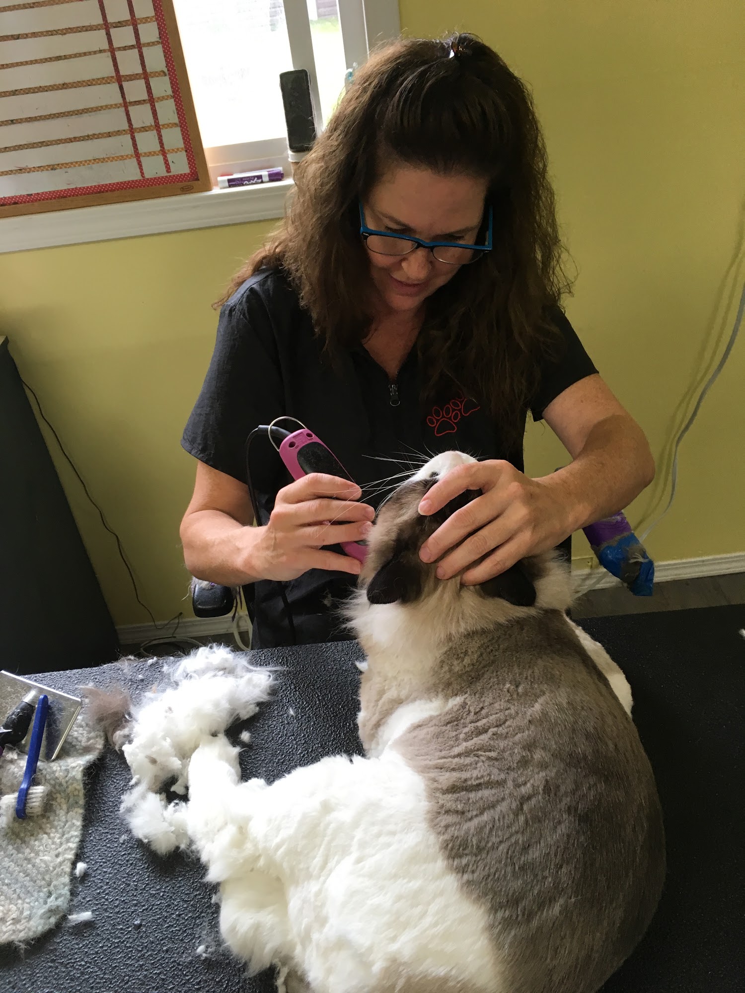 Pretty Paws Pet Grooming Airdrie
