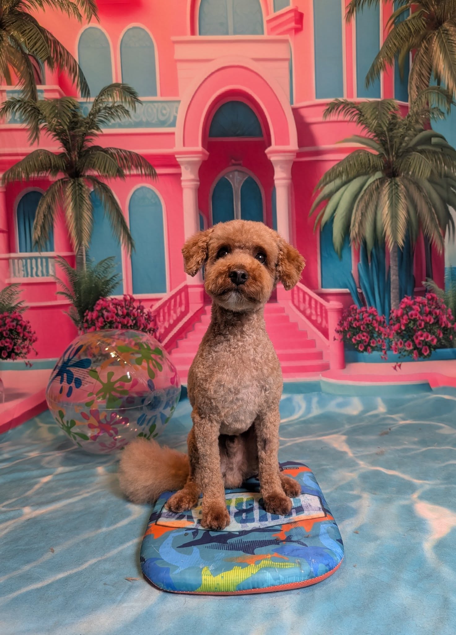 Fur Ever Love Dog Grooming Brooks