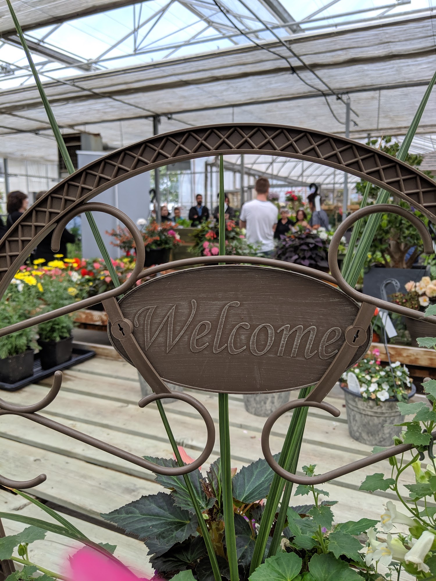 Thiels Greenhouses | Naked Greens Bruderheim