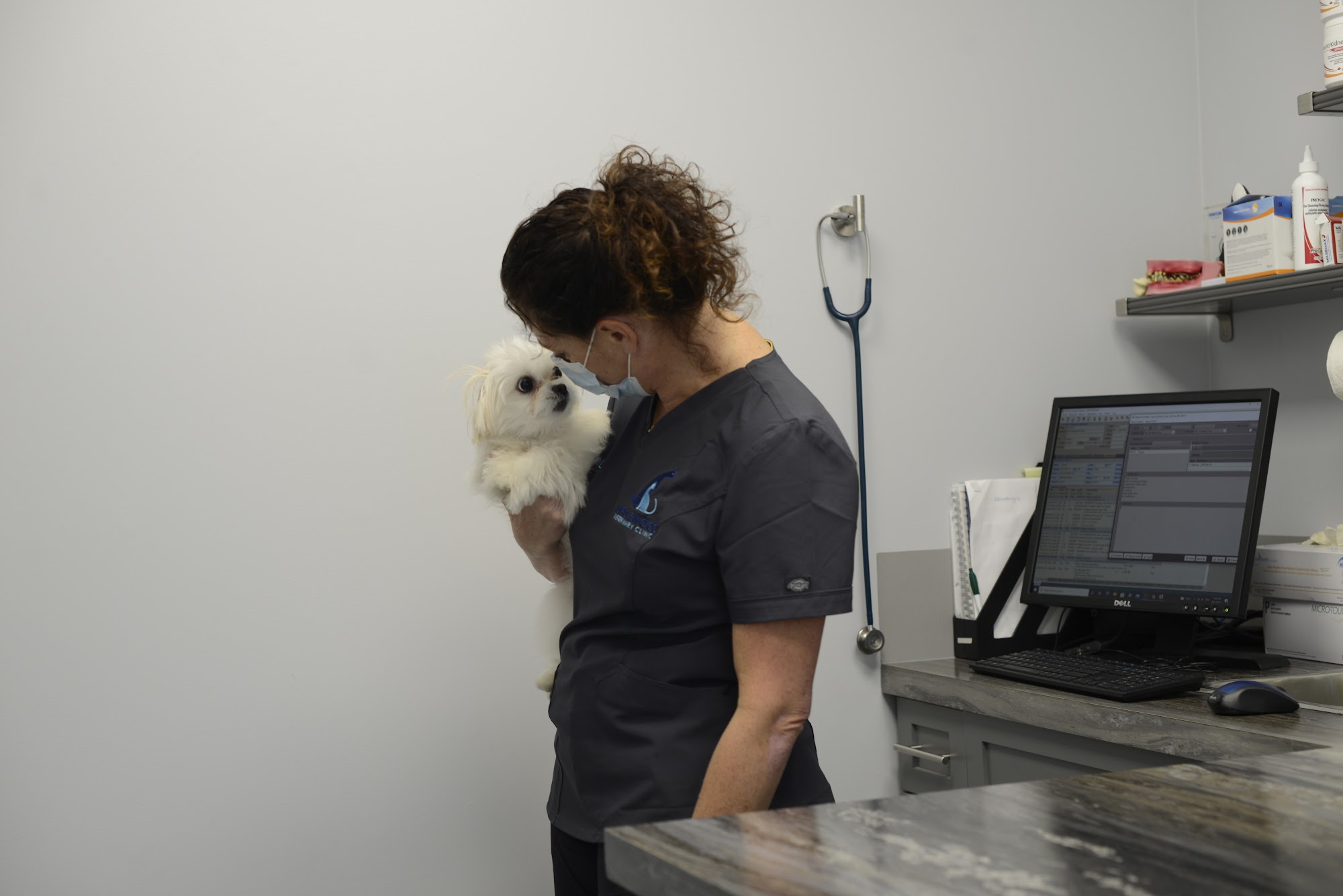 Bridlewood Veterinary Clinic Calgary