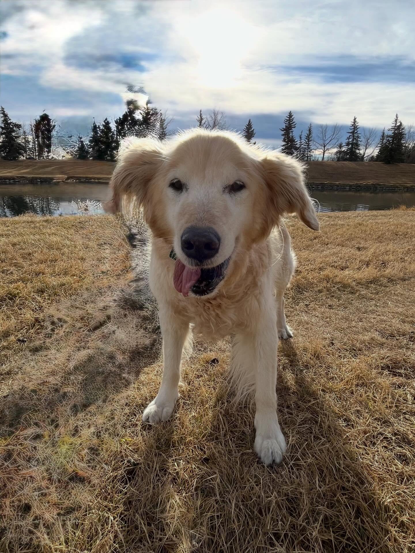 Acadia Drive Animal Clinic Calgary