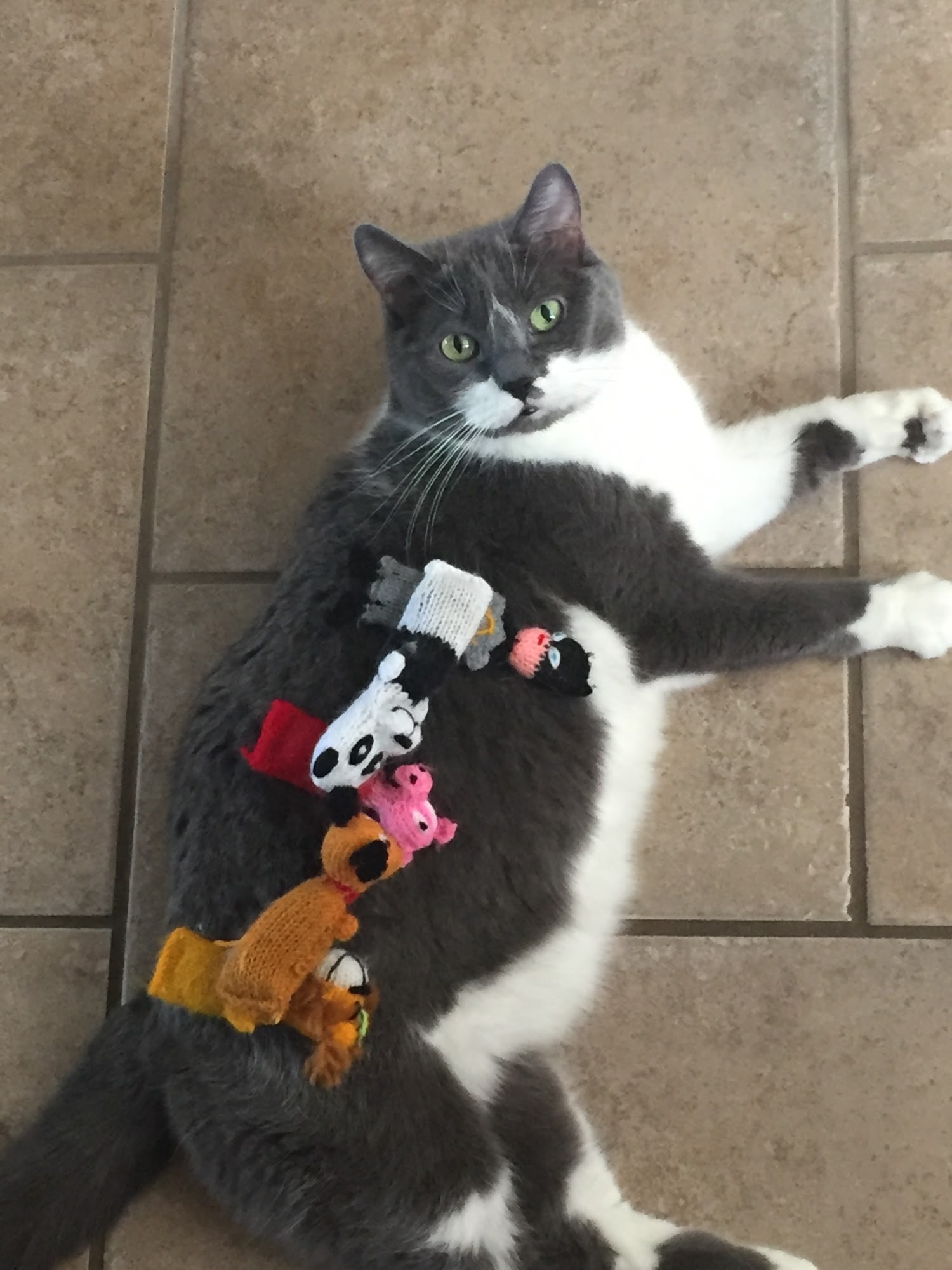 Woodlands Veterinary Hospital and Animal Dental Centre Calgary