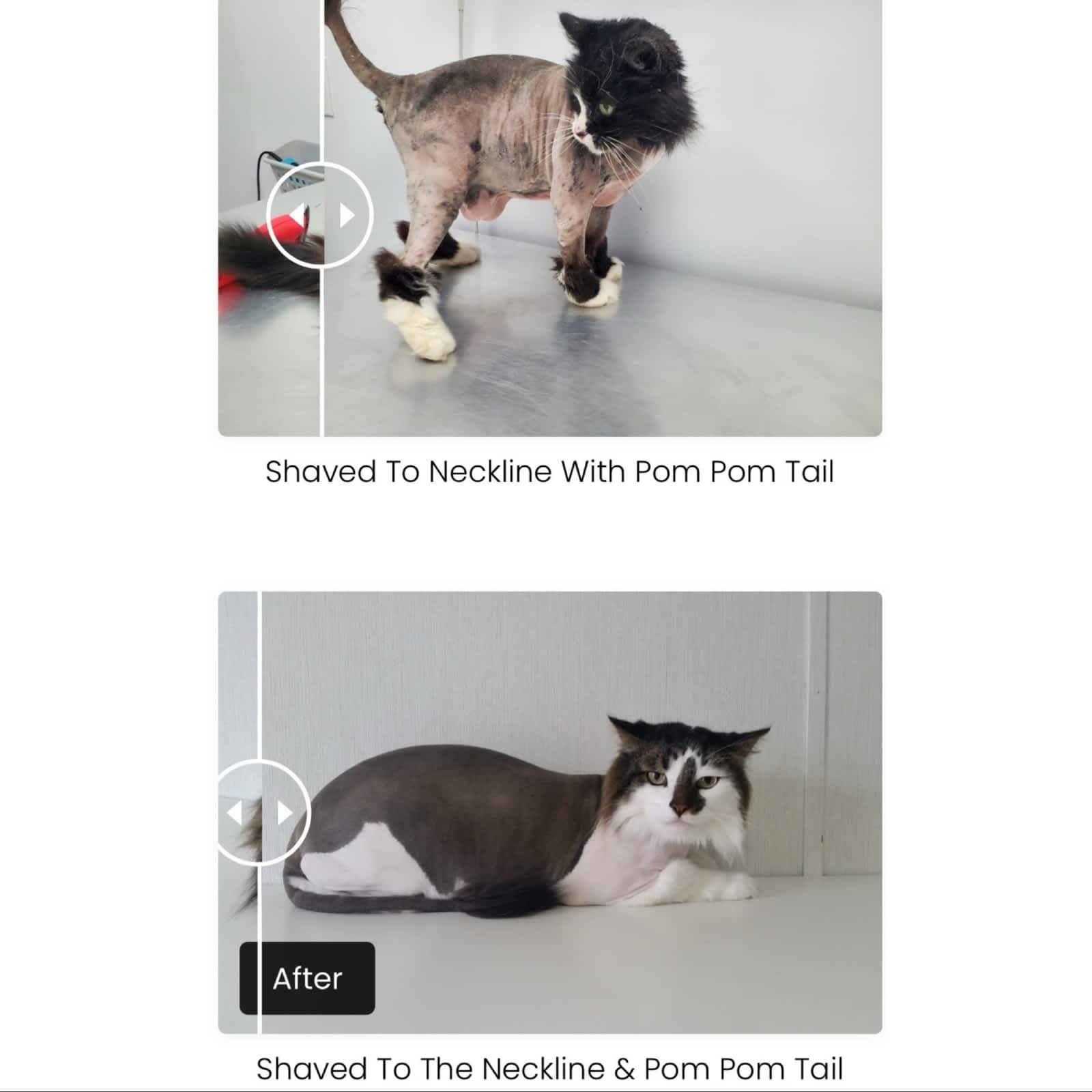 Photo credit: yellowpages.ca