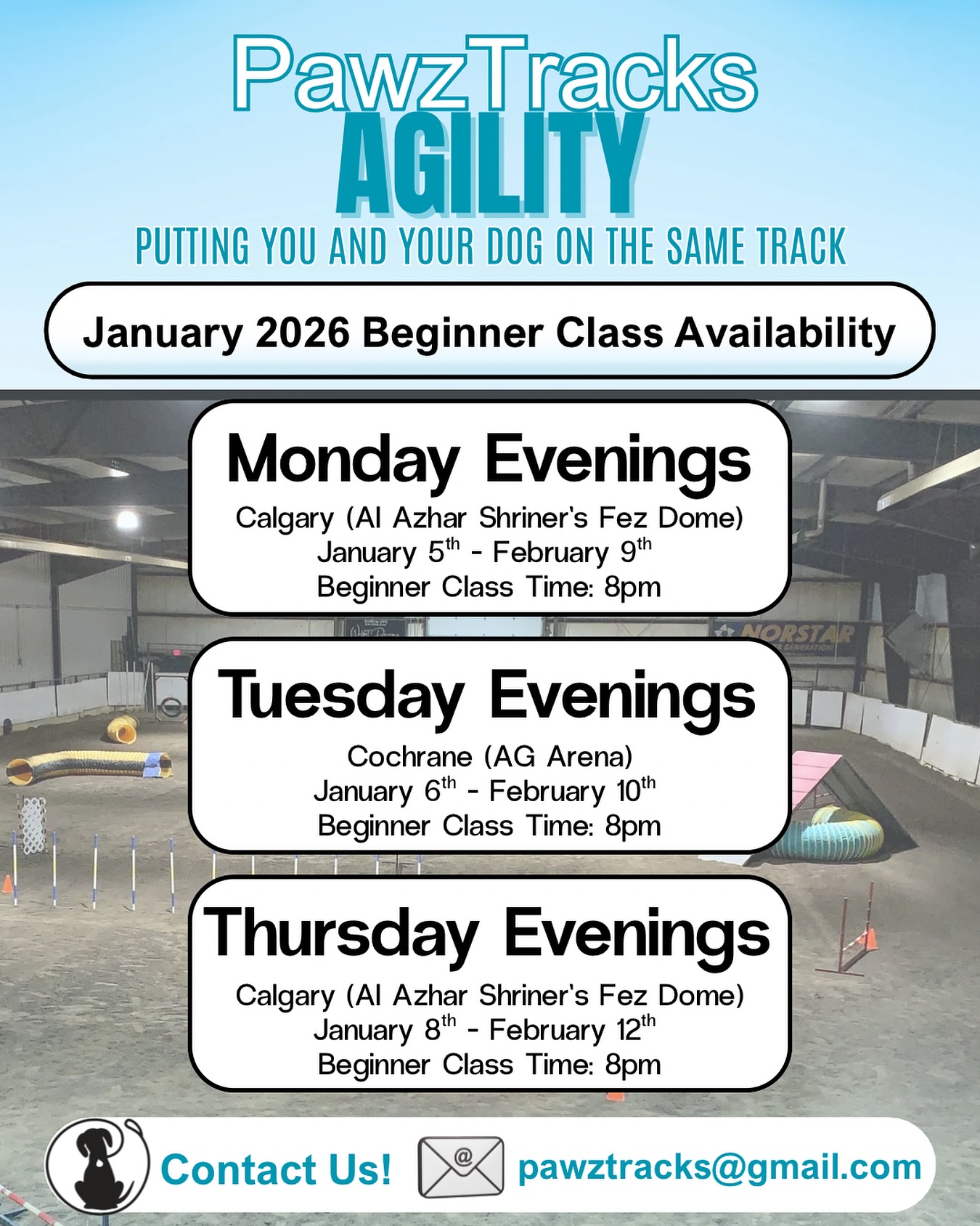 Paw Z Tracks Dog Agility Training Calgary