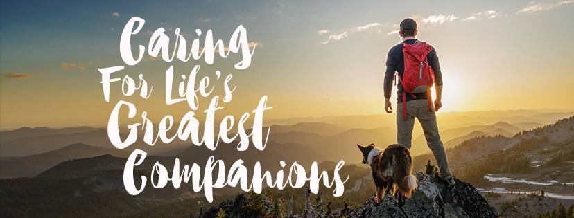 VCA Canada Tuscany Animal Hospital Calgary