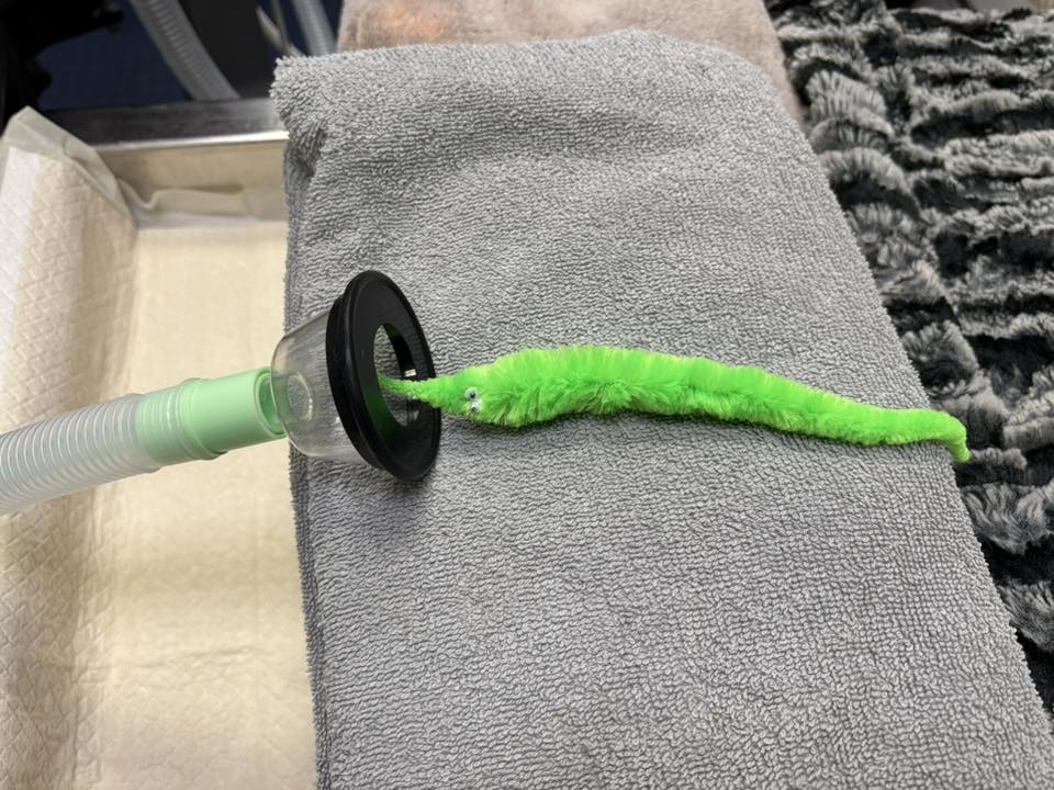 VCA Canada Tuscany Animal Hospital Calgary