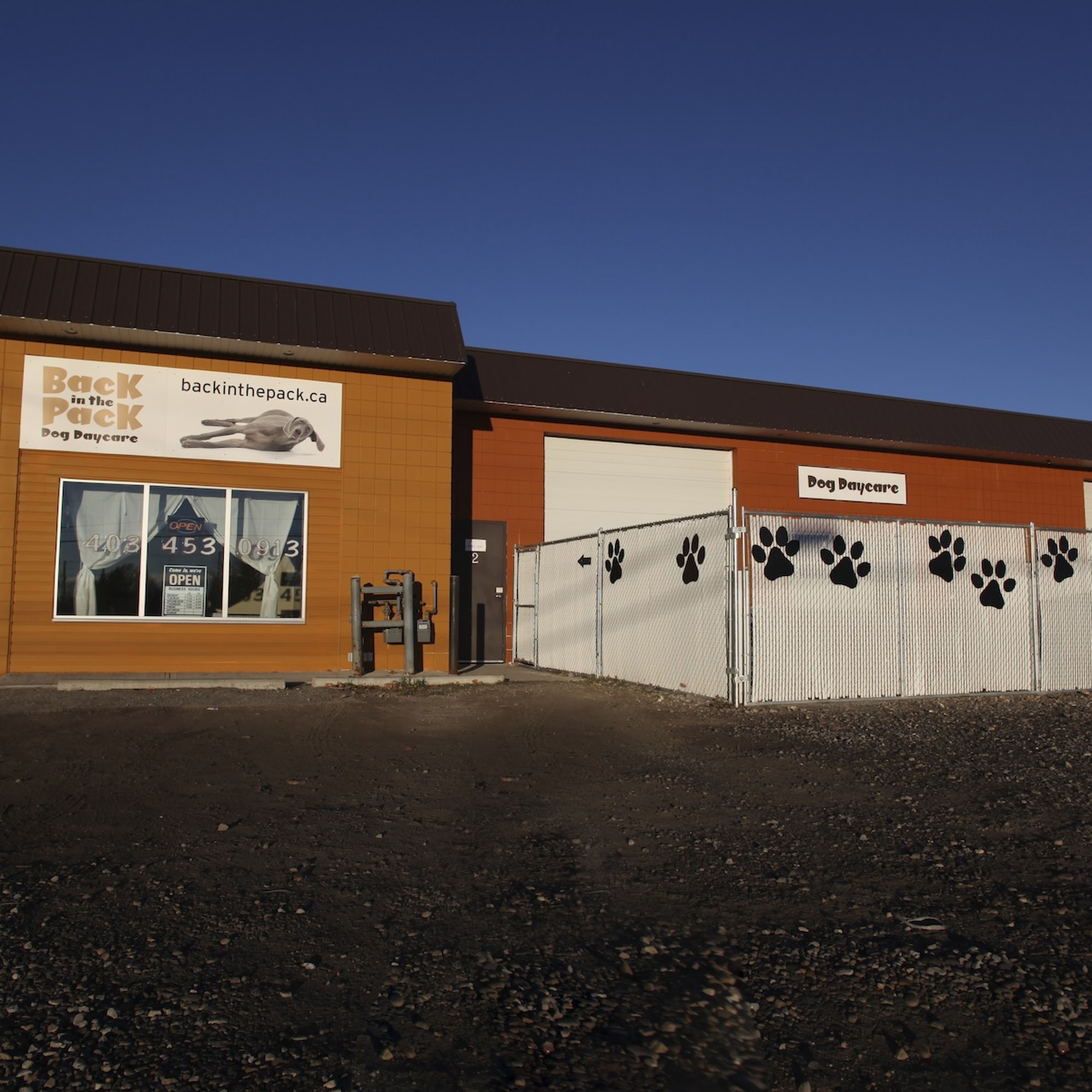 Back in the Pack Dog Daycare Calgary