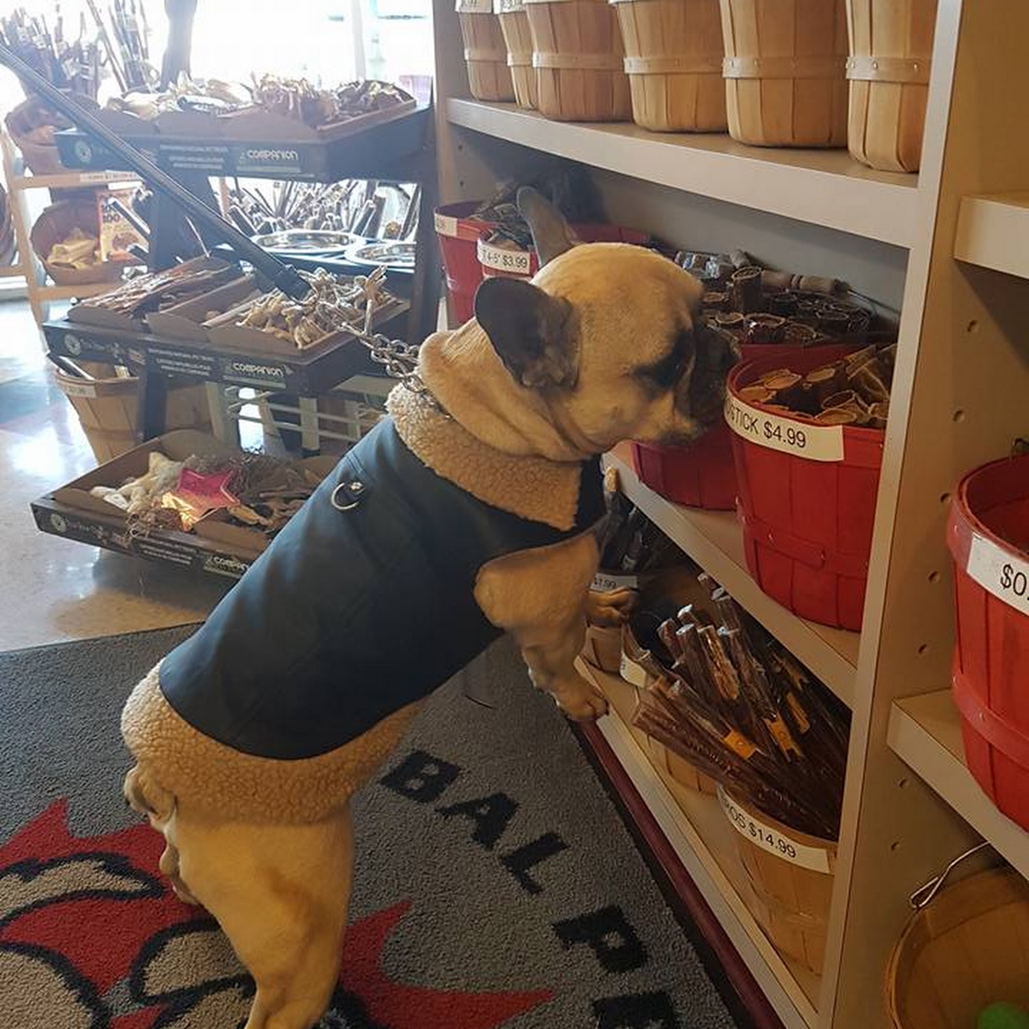 Global Pet Foods Cambrian Calgary