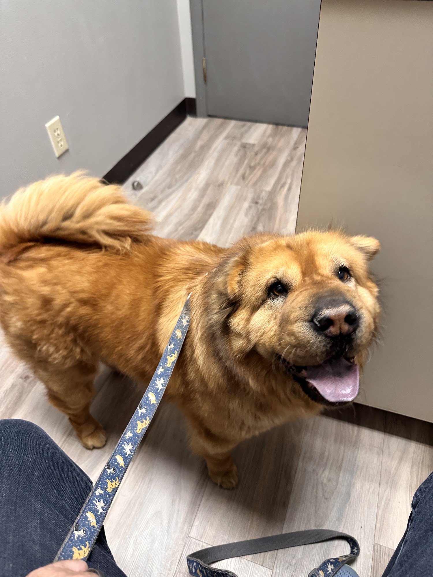 VCA Canada Coach Hill Animal Hospital Calgary