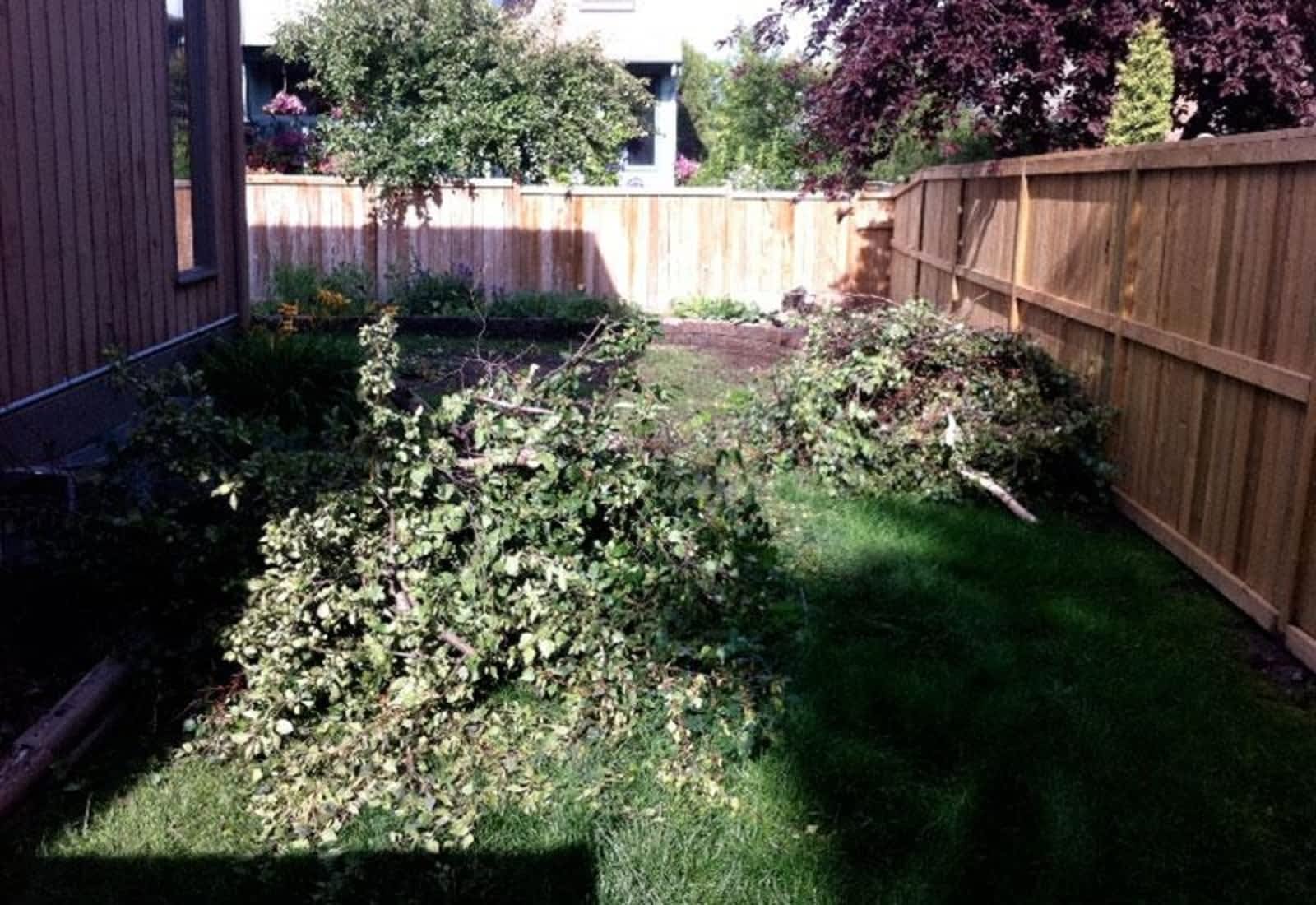 Photo credit: yellowpages.ca
