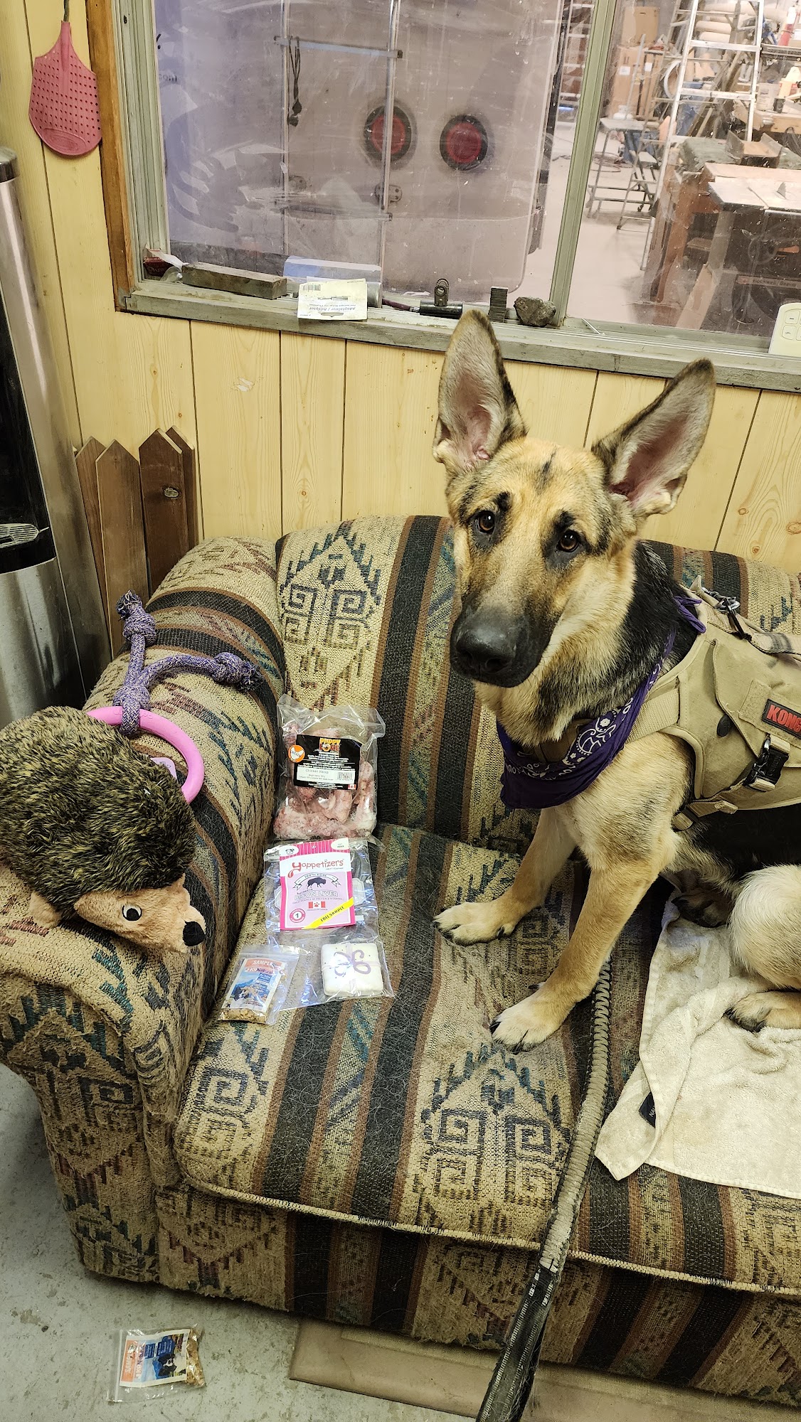 Rascals Pet Supplies & Grooming Ltd Calgary