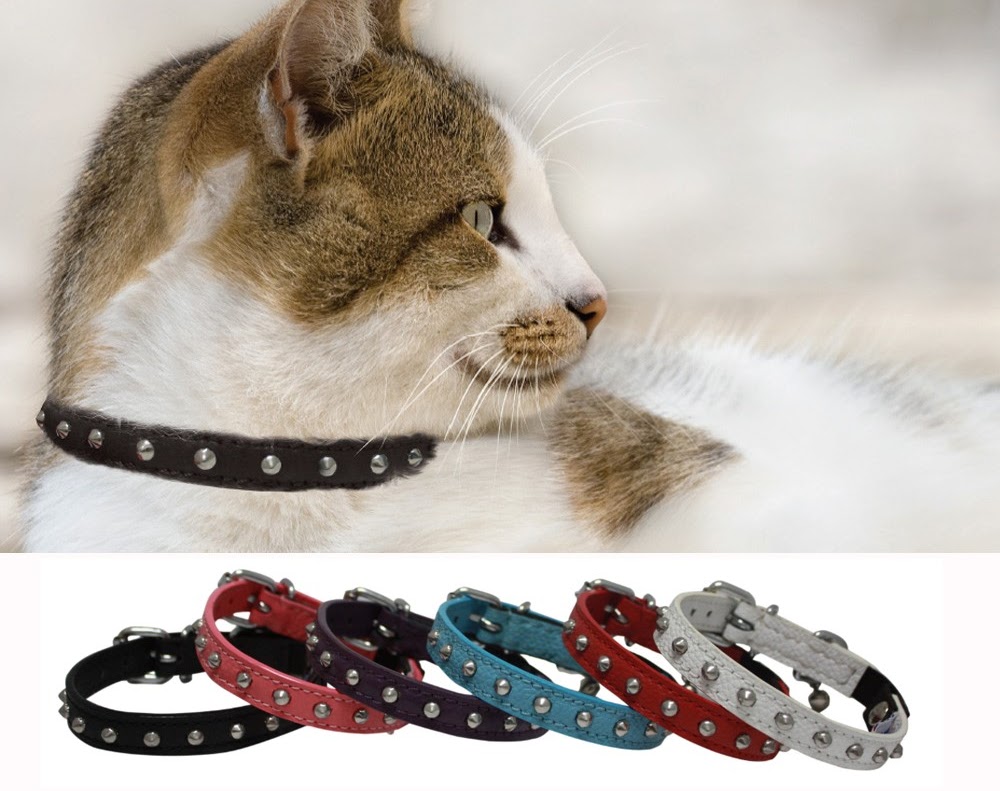 Fairplay Pet Supply Calgary