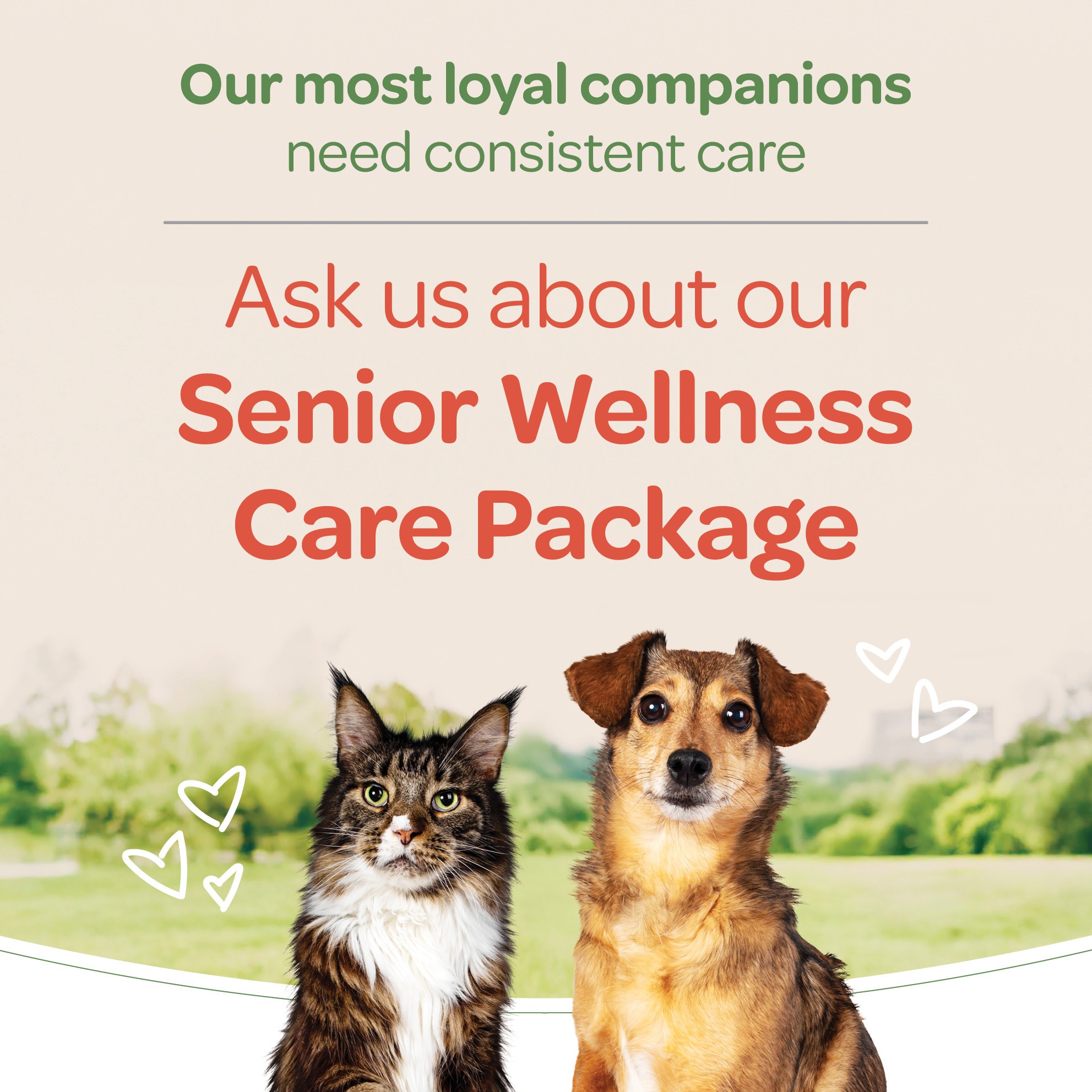 McKnight Veterinary Hospital Calgary