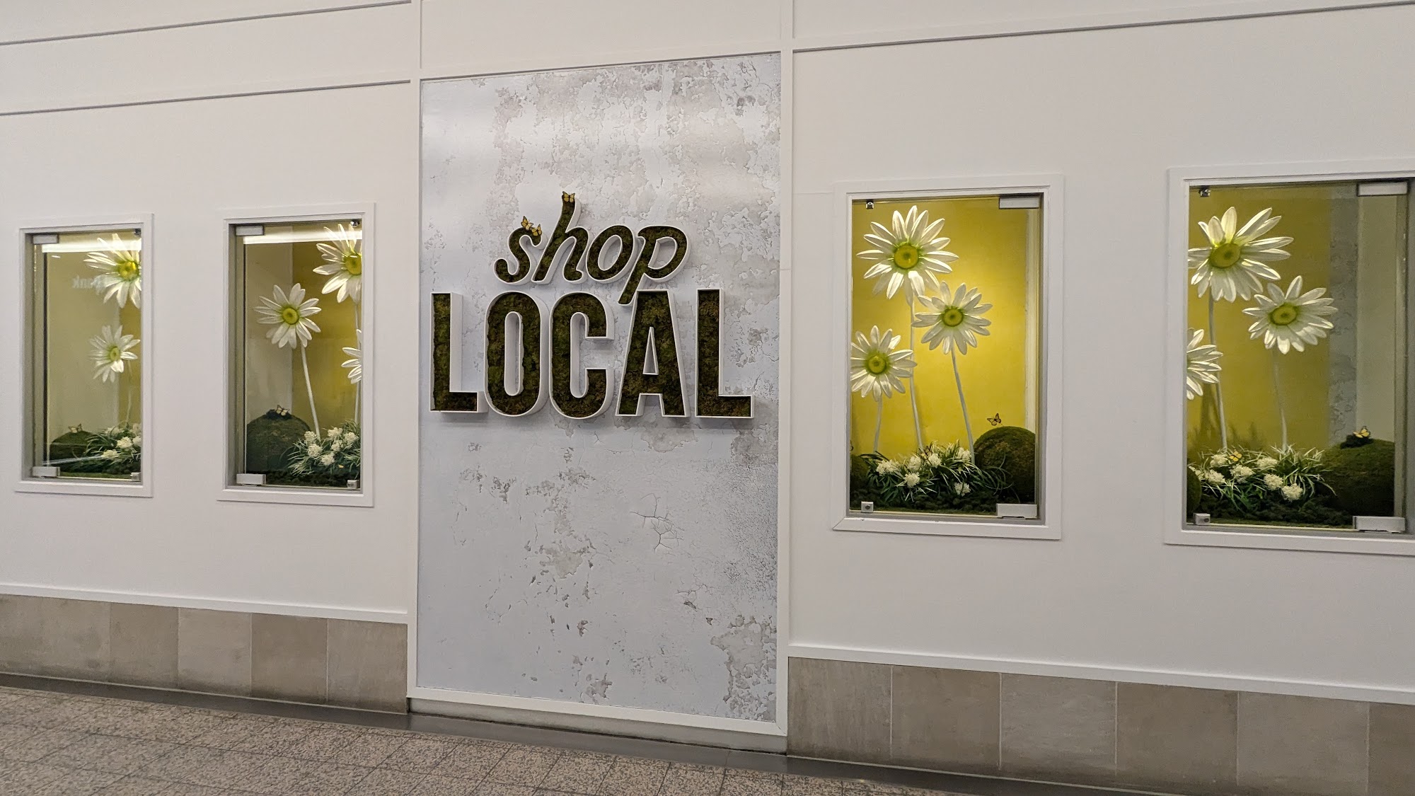 Bolder Investment Partners Ltd