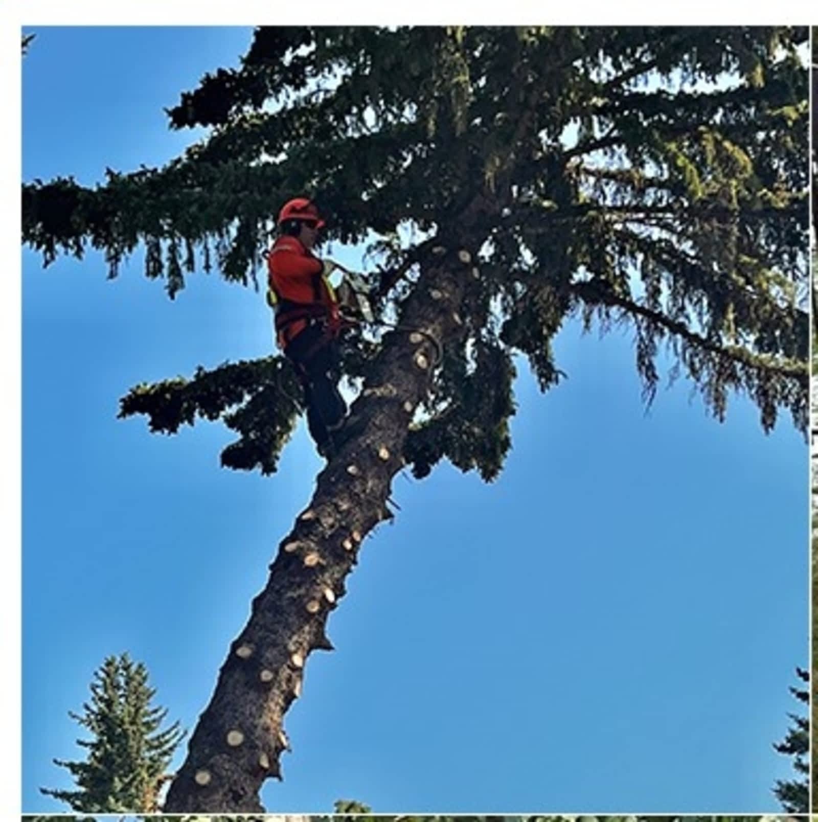 Photo credit: yellowpages.ca