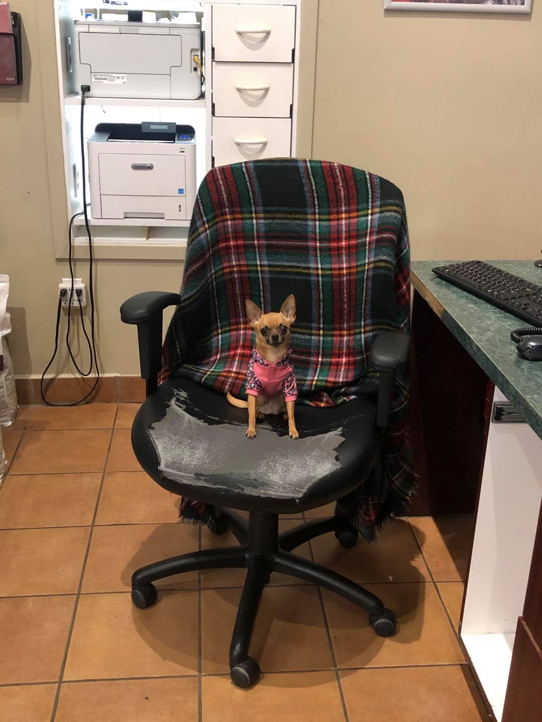 Bow River Veterinary Centre Canmore