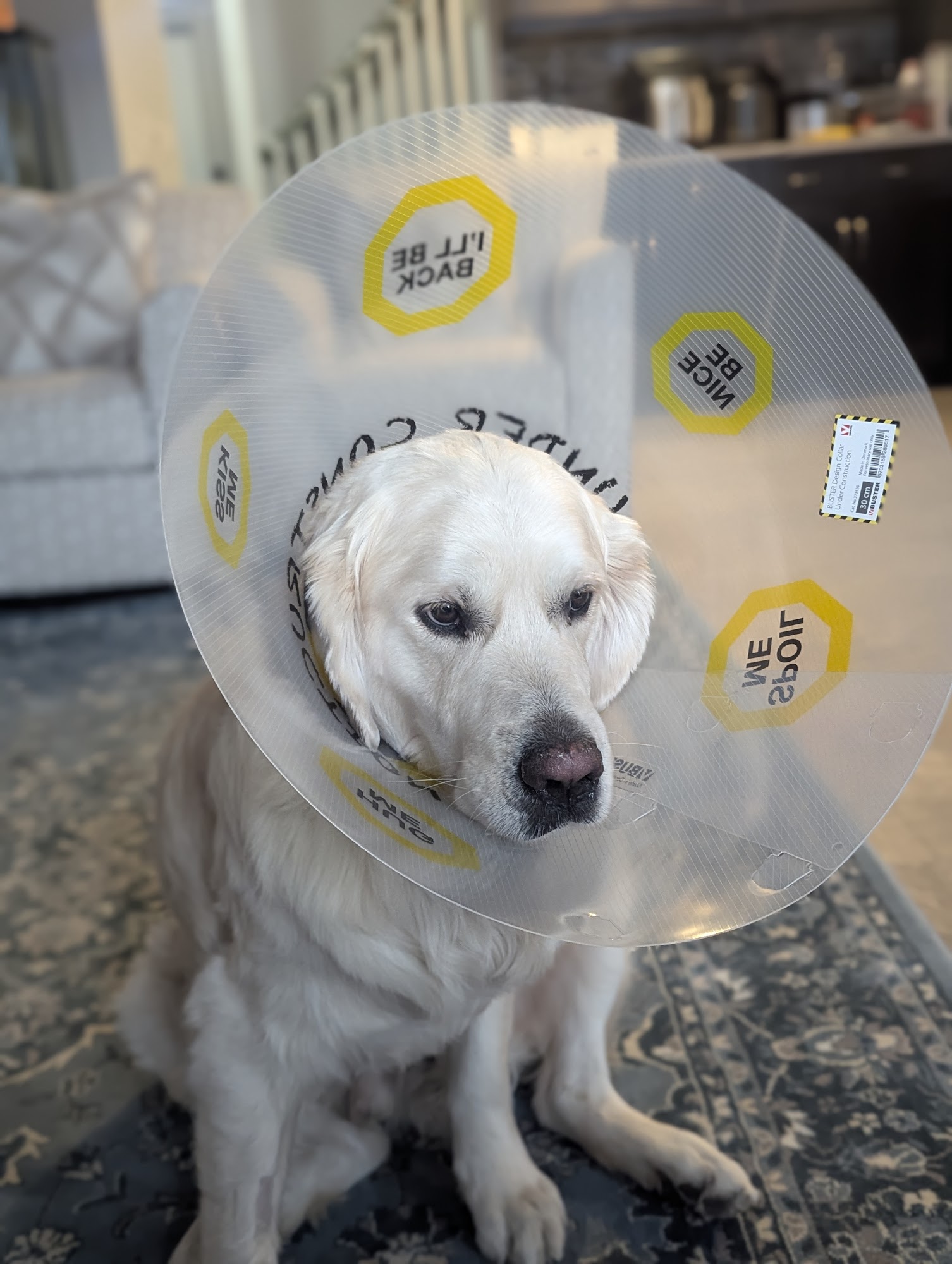 Carstairs Veterinary Clinic Carstairs