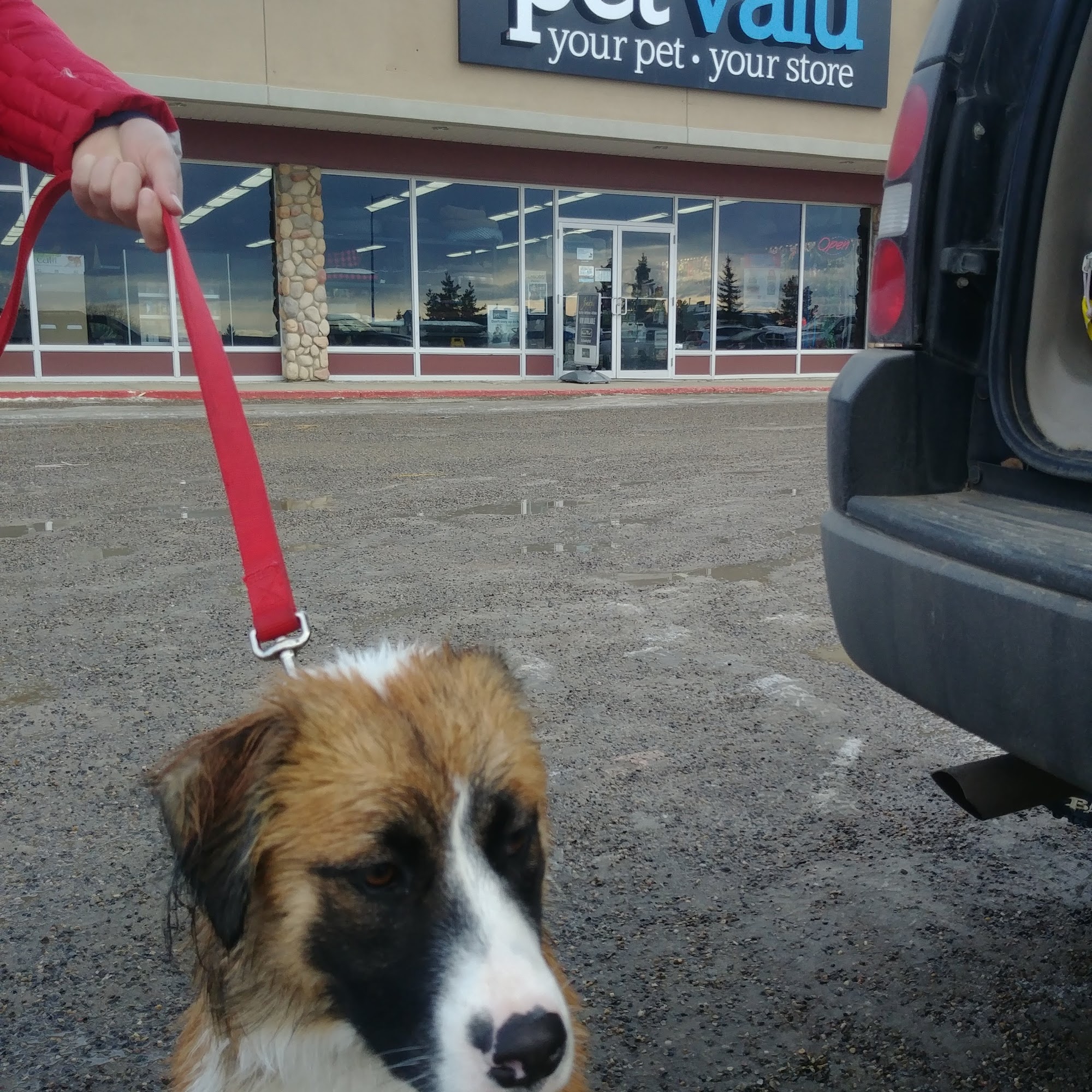 Pet Valu Drayton Valley