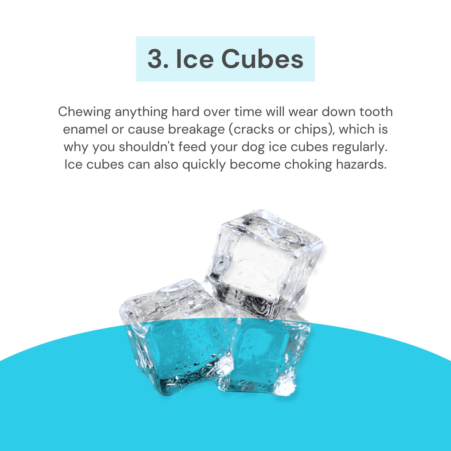 Rocky Rapids Veterinary Service Drayton Valley