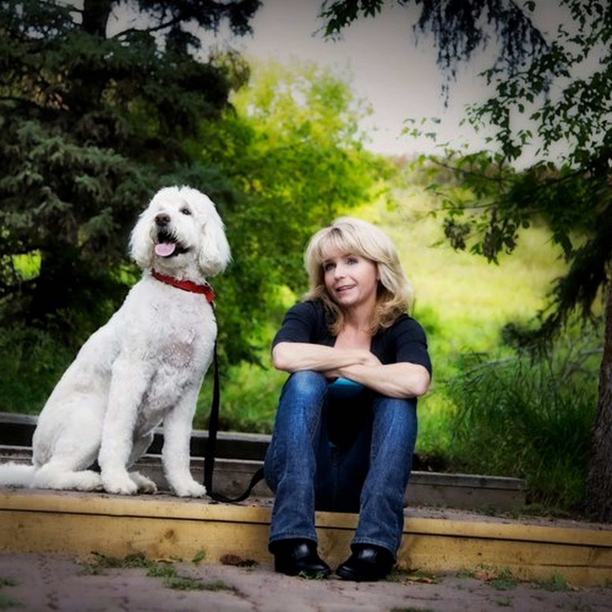 Diamond in the Ruff Inc. Edmonton