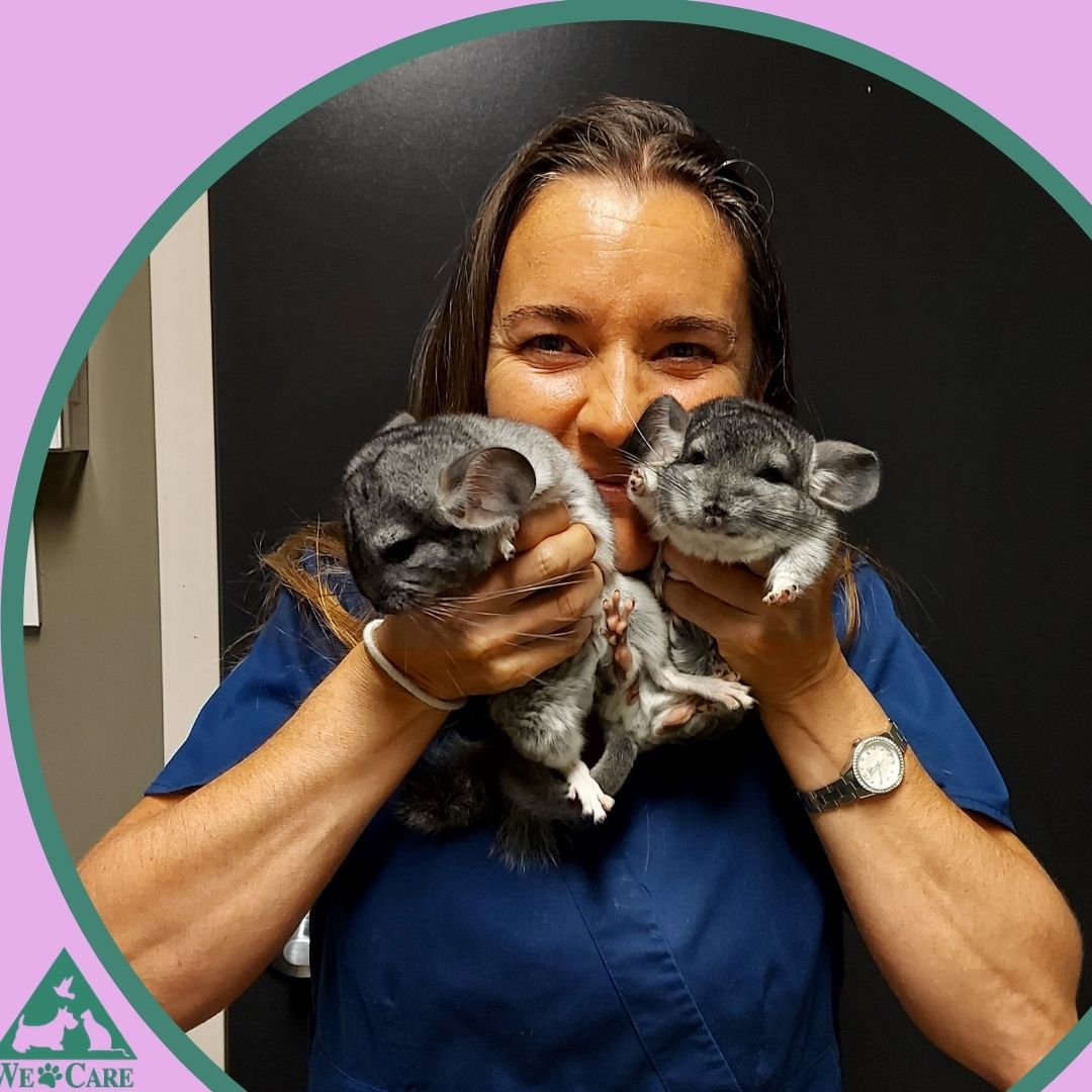 Delton Veterinary Hospital Edmonton