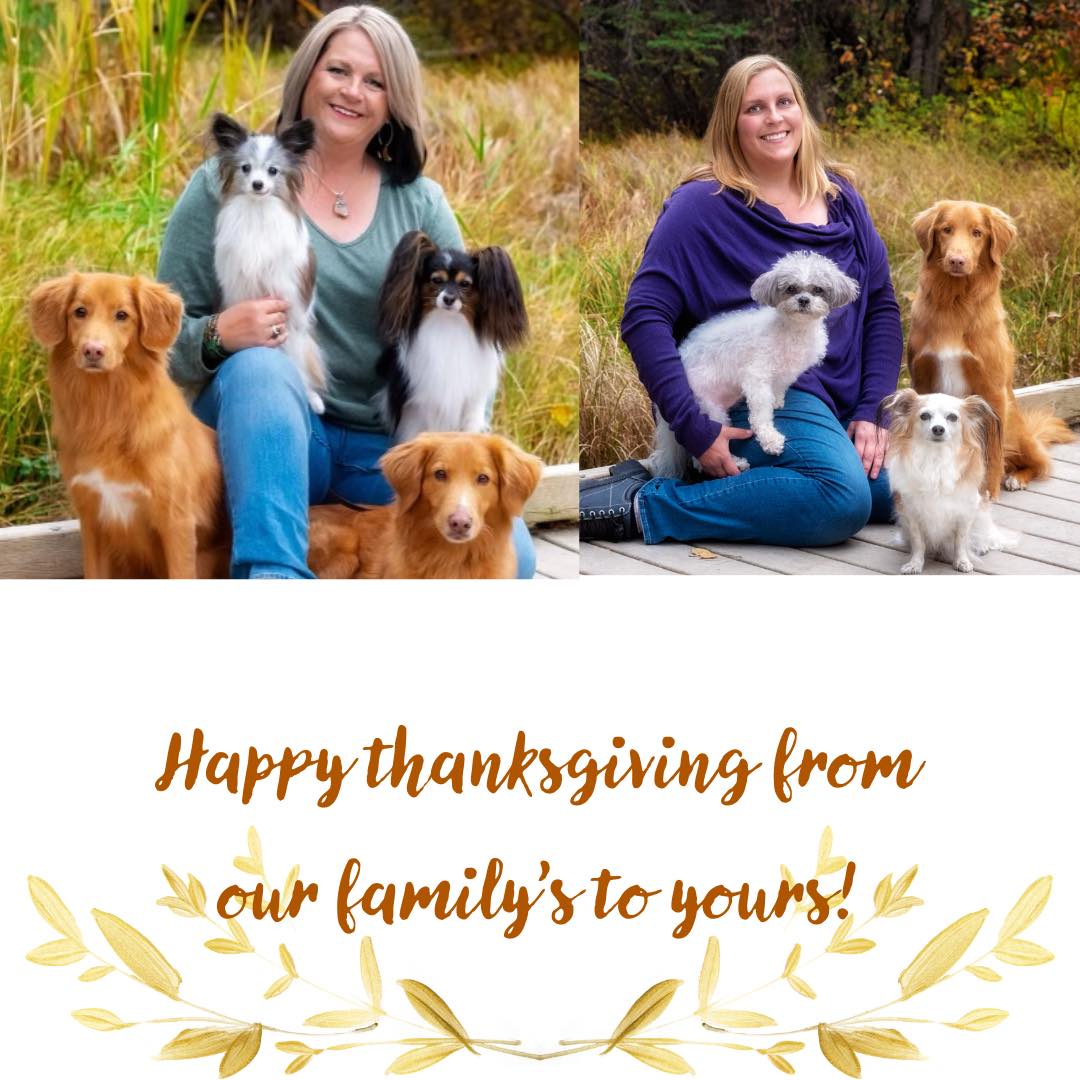 See Spot Run Doggie Daycare & Training Inc Edmonton