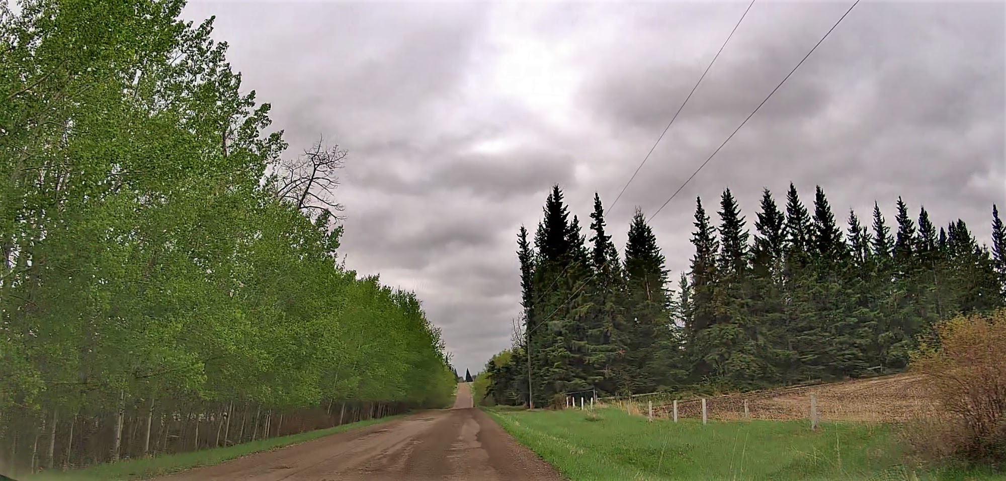 Creekside Pet Boarding & Daycare Edmonton