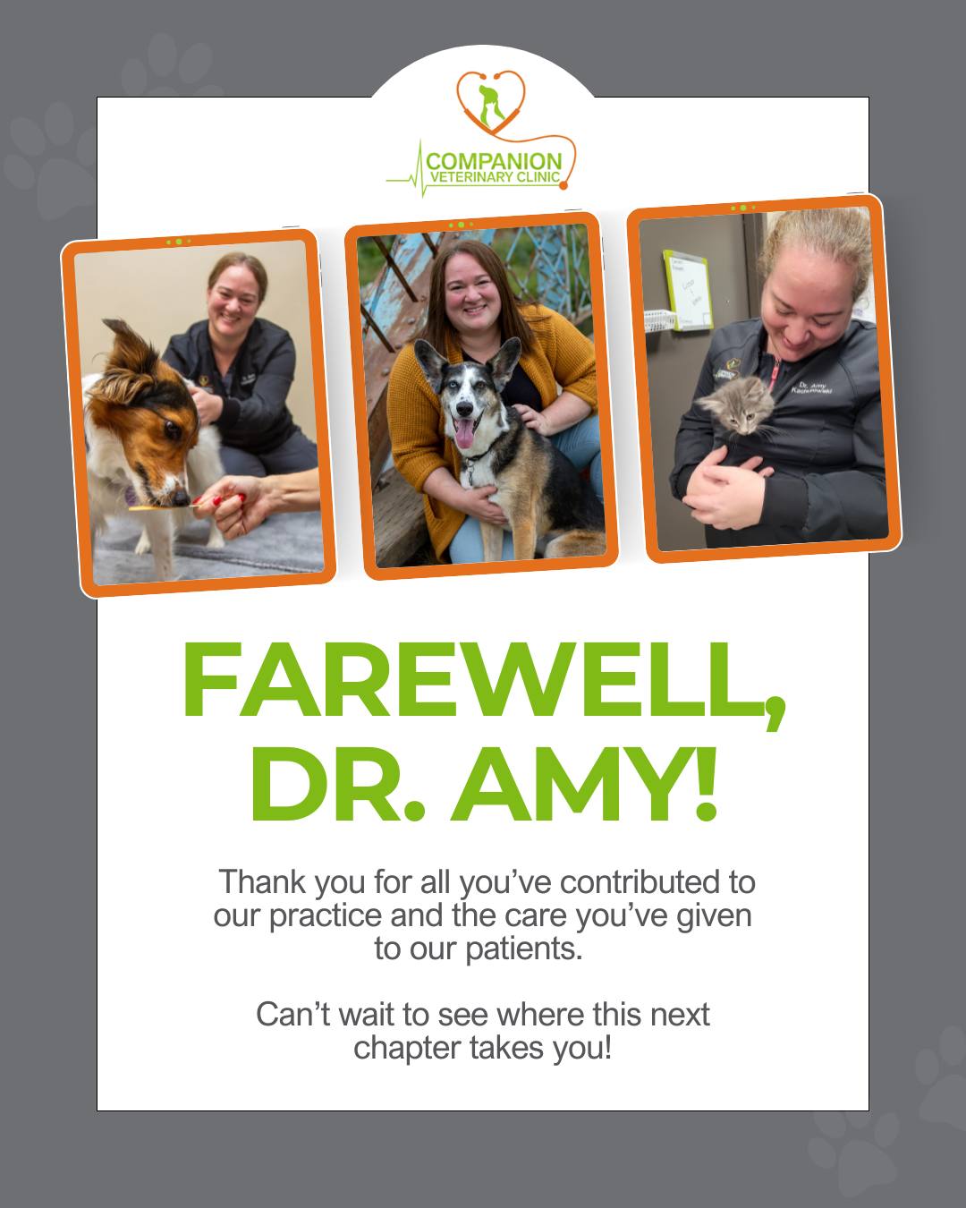 Companion Veterinary Clinic Edmonton