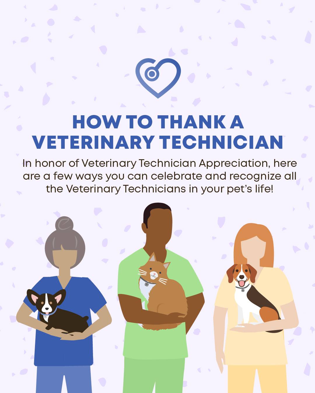 Ellerslie Pet Hospital Edmonton