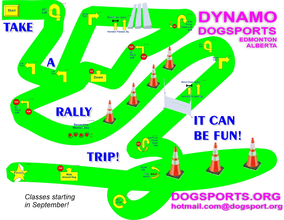 Dynamo Dogsports Edmonton