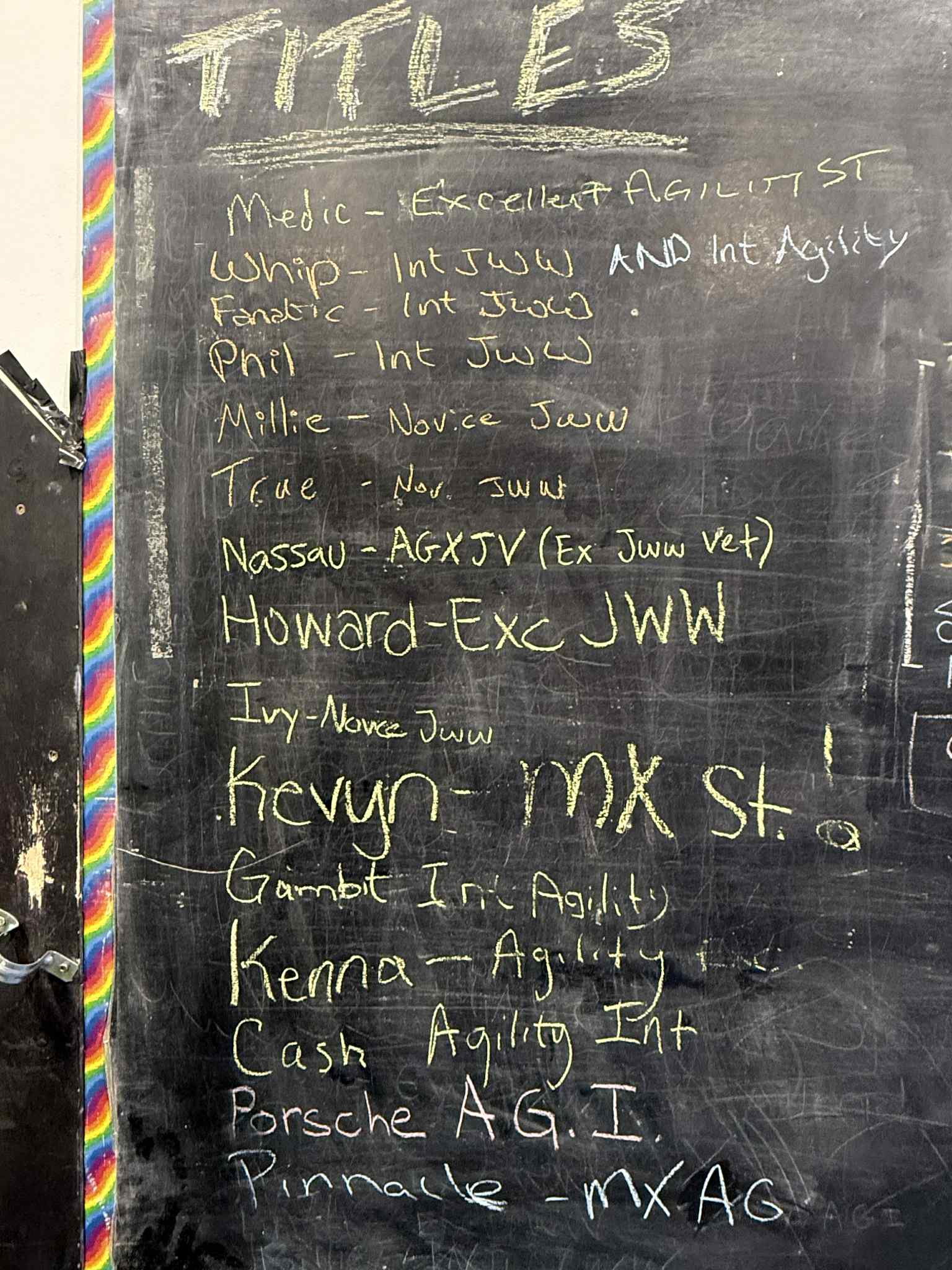 Dynamo Dogsports Edmonton