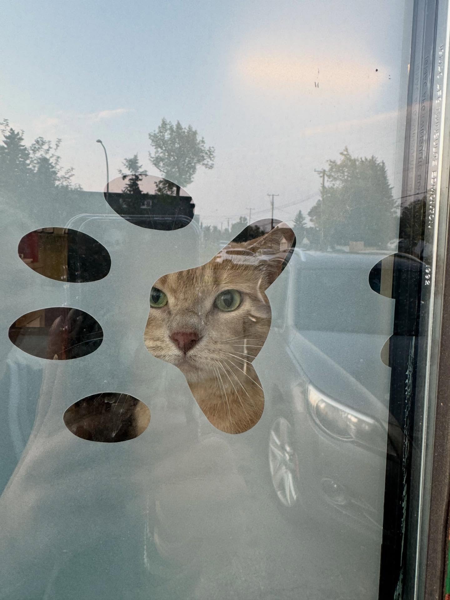 Crestwood Veterinary Centre Edmonton