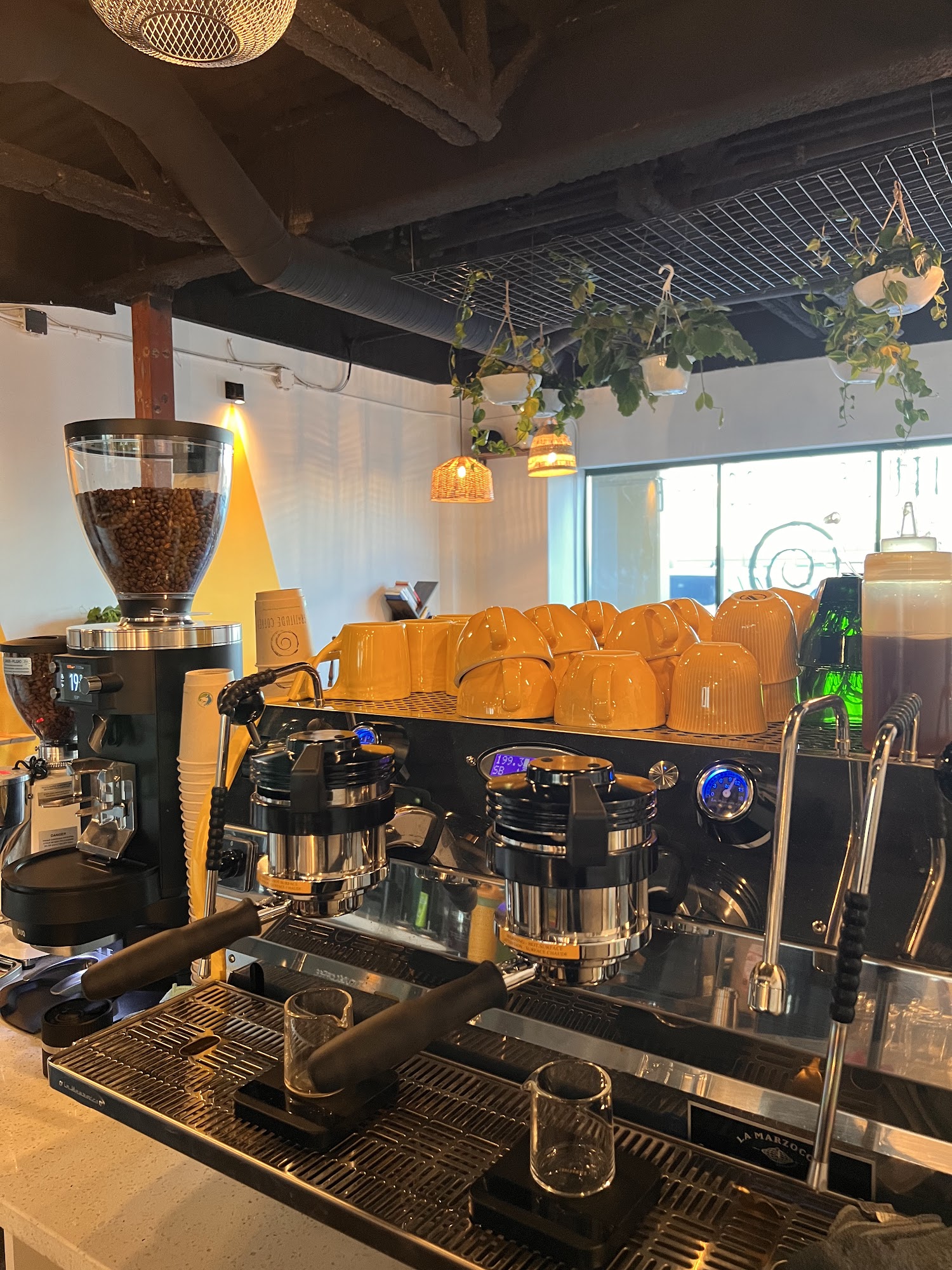 Gratitude Coffee 9818 79 St NW, Edmonton