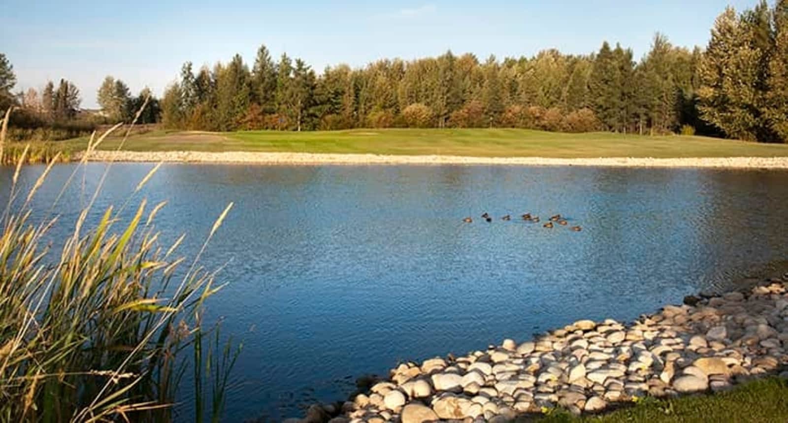 Photo credit: yellowpages.ca