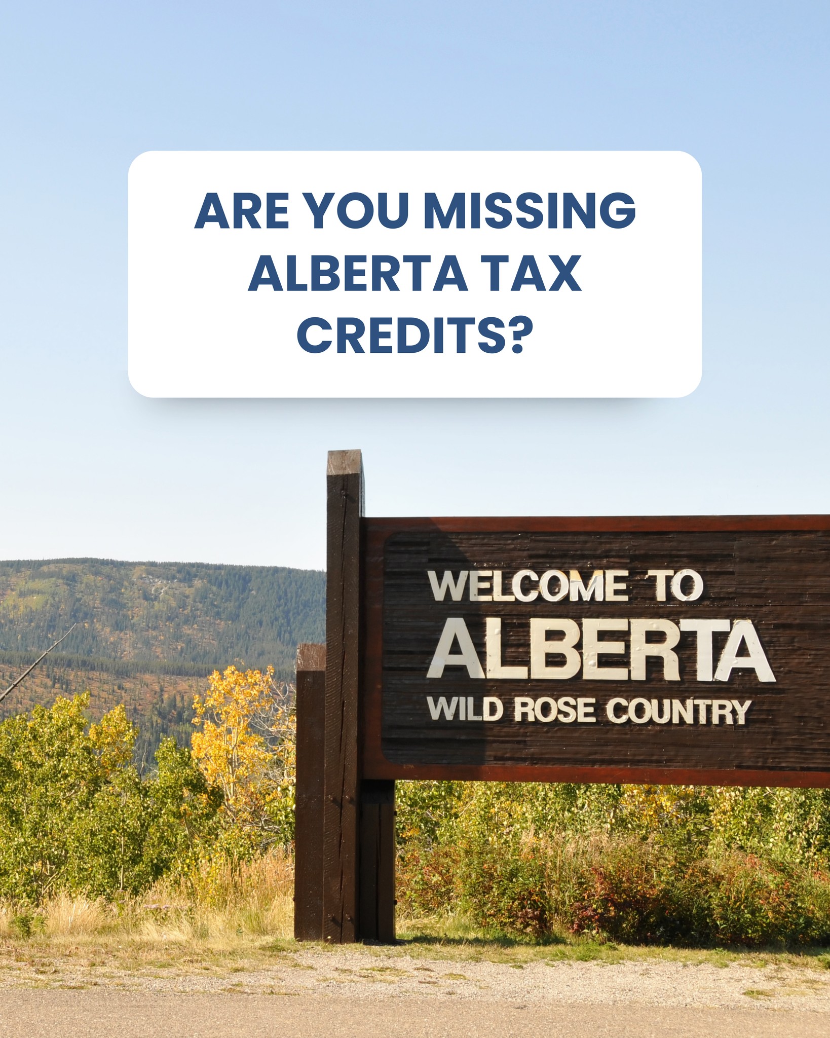 Shaw & Company Bookkeepers