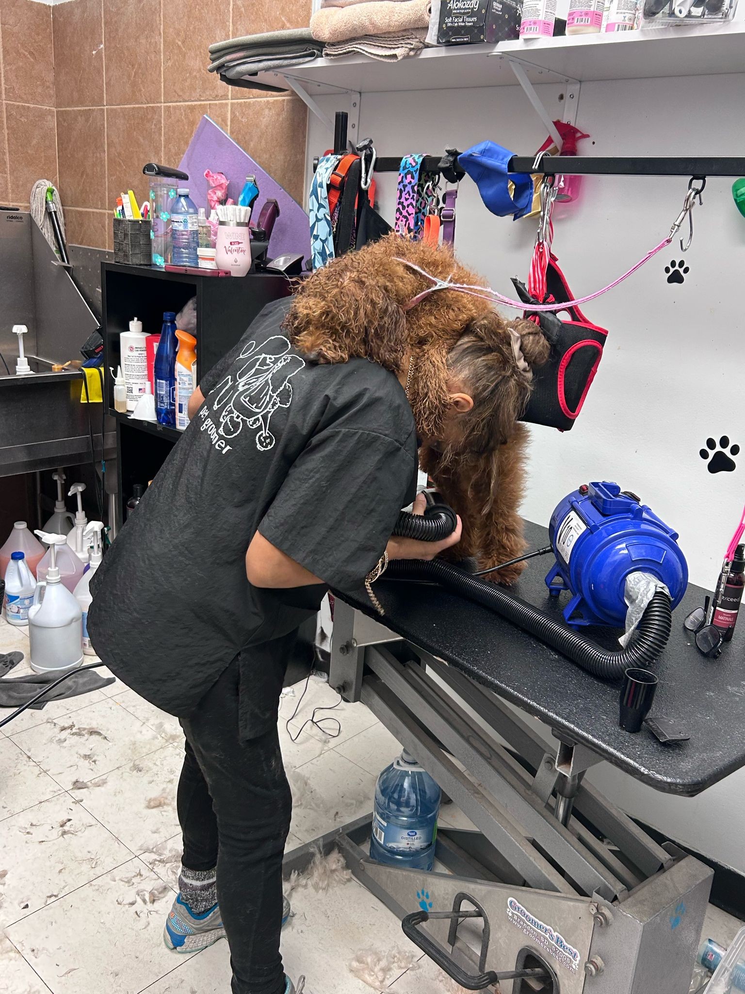 Lee's Pet Grooming Service Edmonton