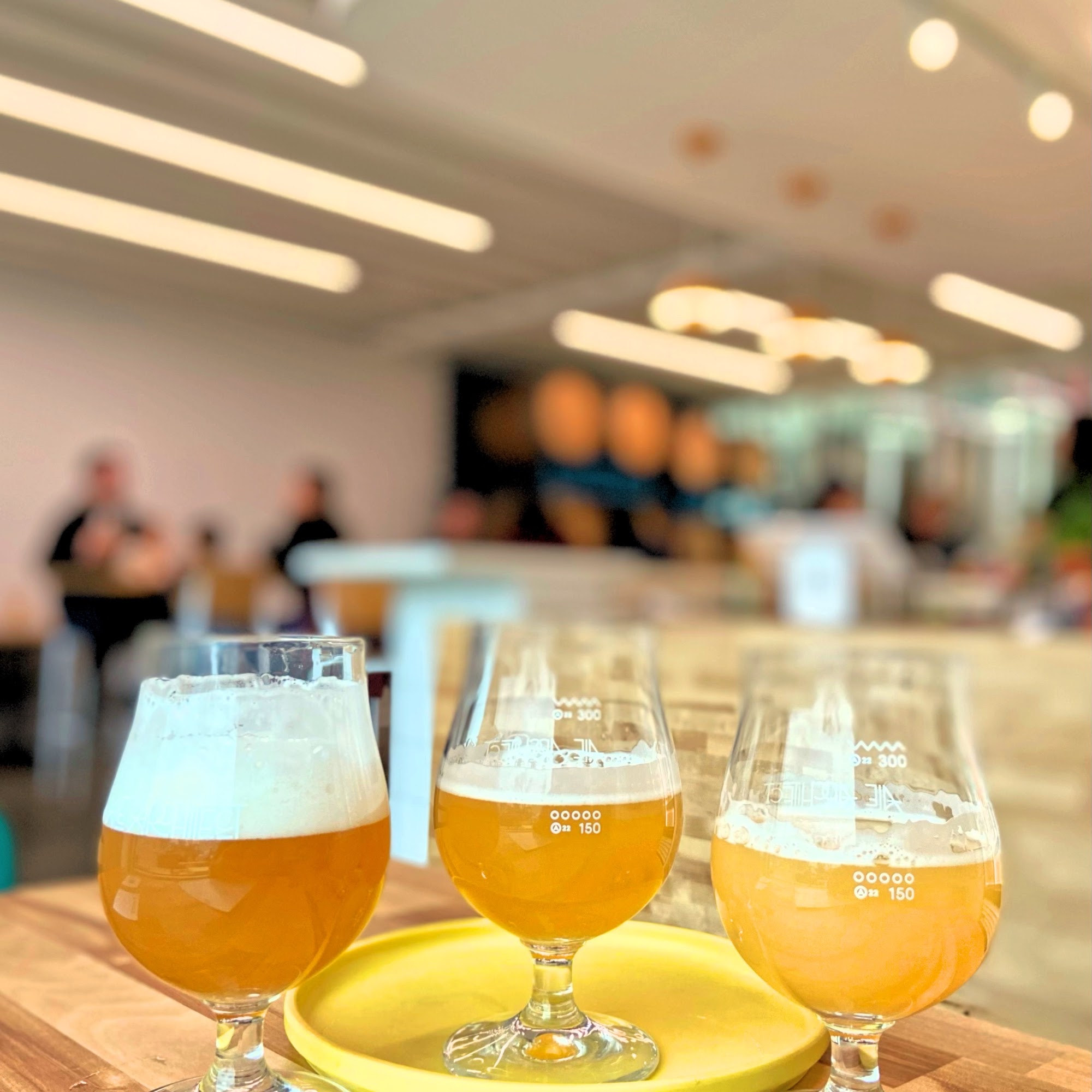 Ale Architect Brewery & Taproom Edmonton