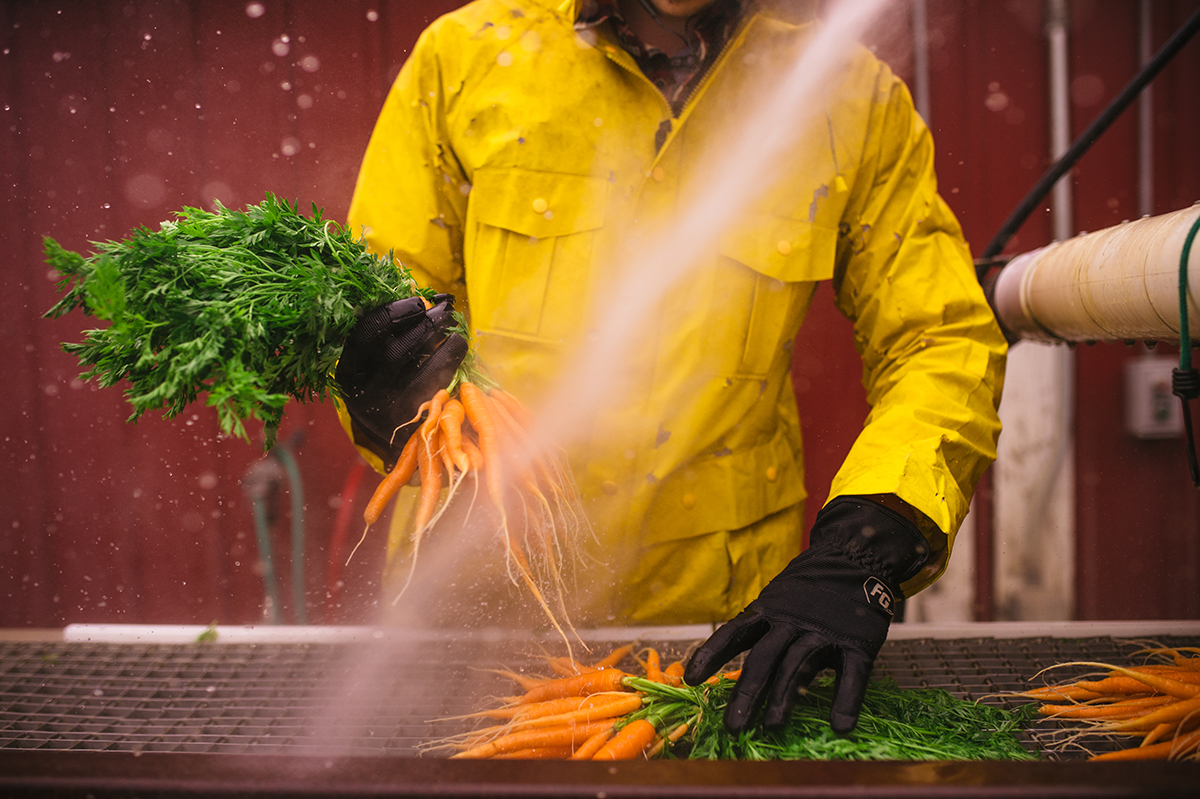 Riverbend Gardens Edmonton