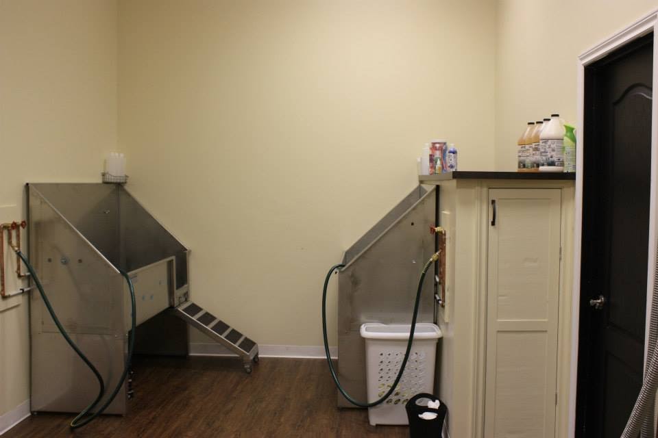 Urban Dog SPAW Fort Saskatchewan