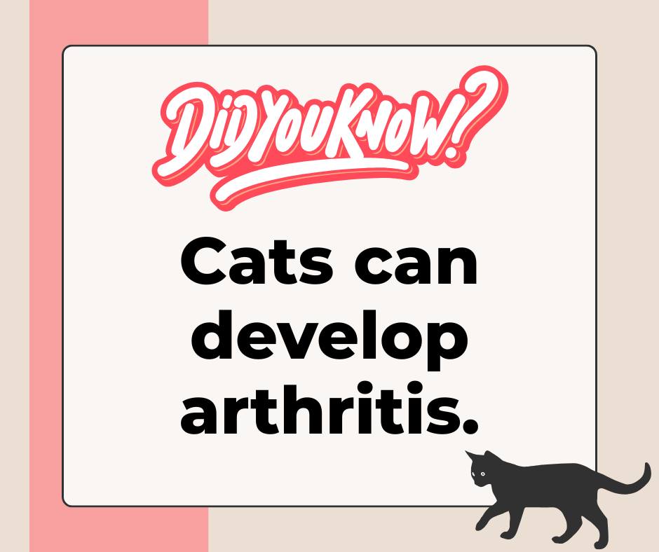 Fort Saskatchewan Veterinary Fort Saskatchewan