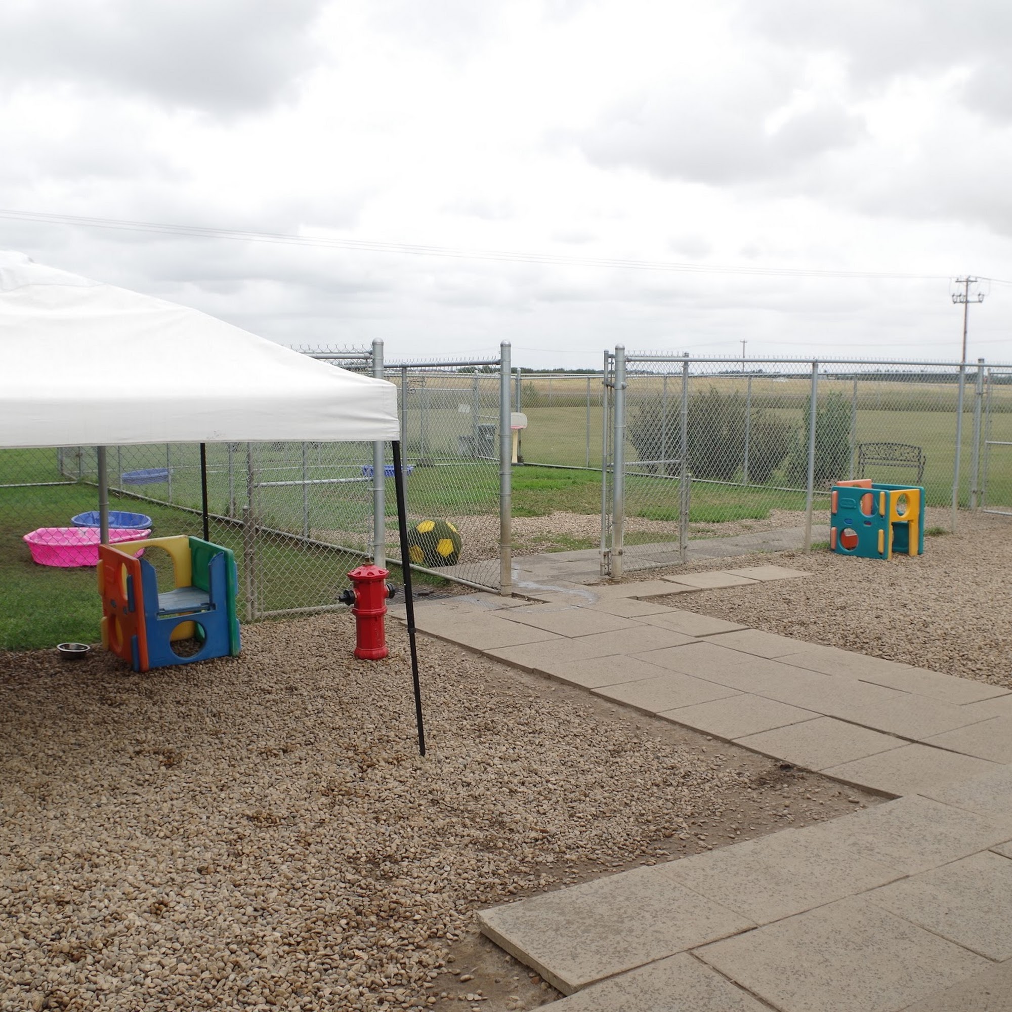 Dogtrix Fort Saskatchewan